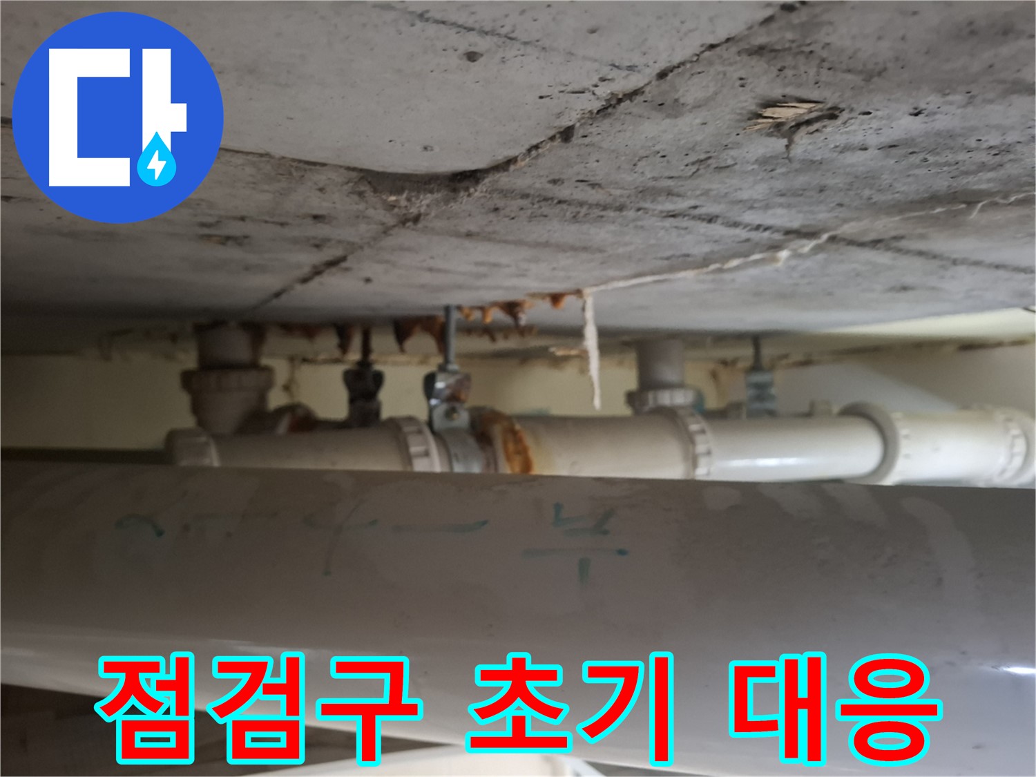 분당 삼평동 아파트 점검구 누수 - 천장 배관 누수로 건물 손상 우려