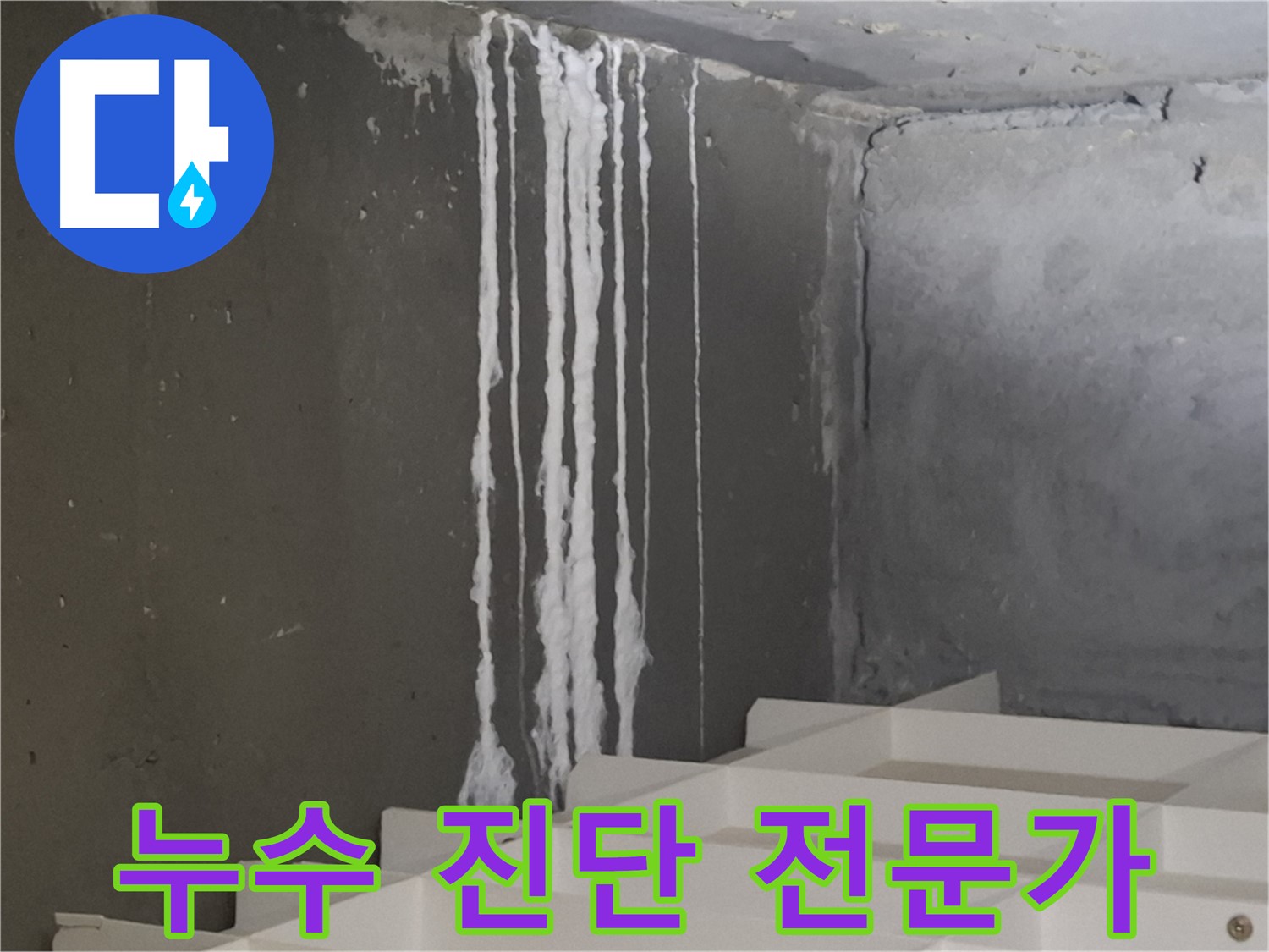 분당 아파트 누수 현장 - 백화현상 뒤에 숨겨진 누수의 진실을 밝히는 누수 전문가의 꼼꼼한 진단 과정을 담은 이미지입니다.