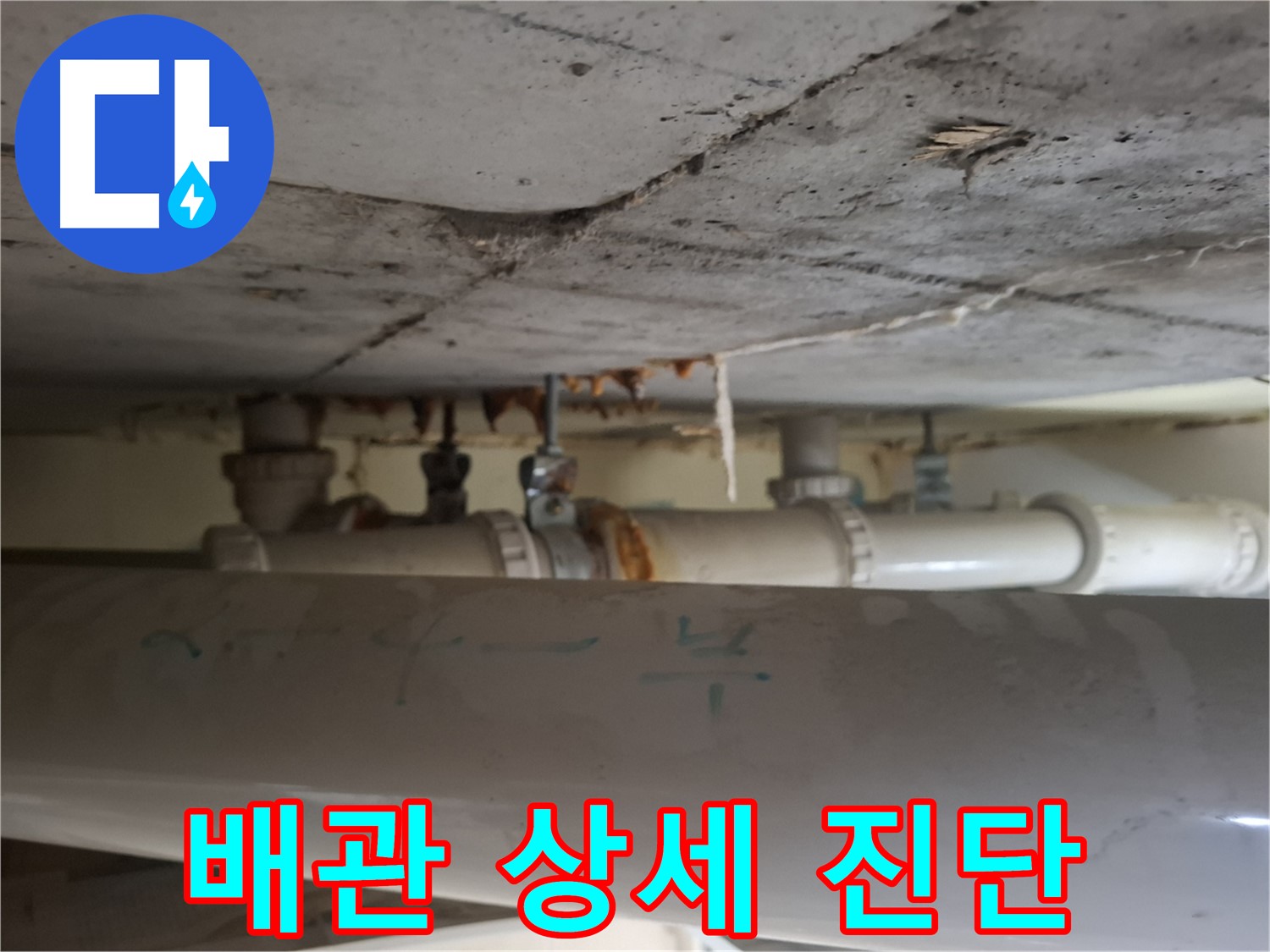 분당 정든마을 아파트 - 점검구 내부 배관 상태 상세 진단 및 맞춤 조치