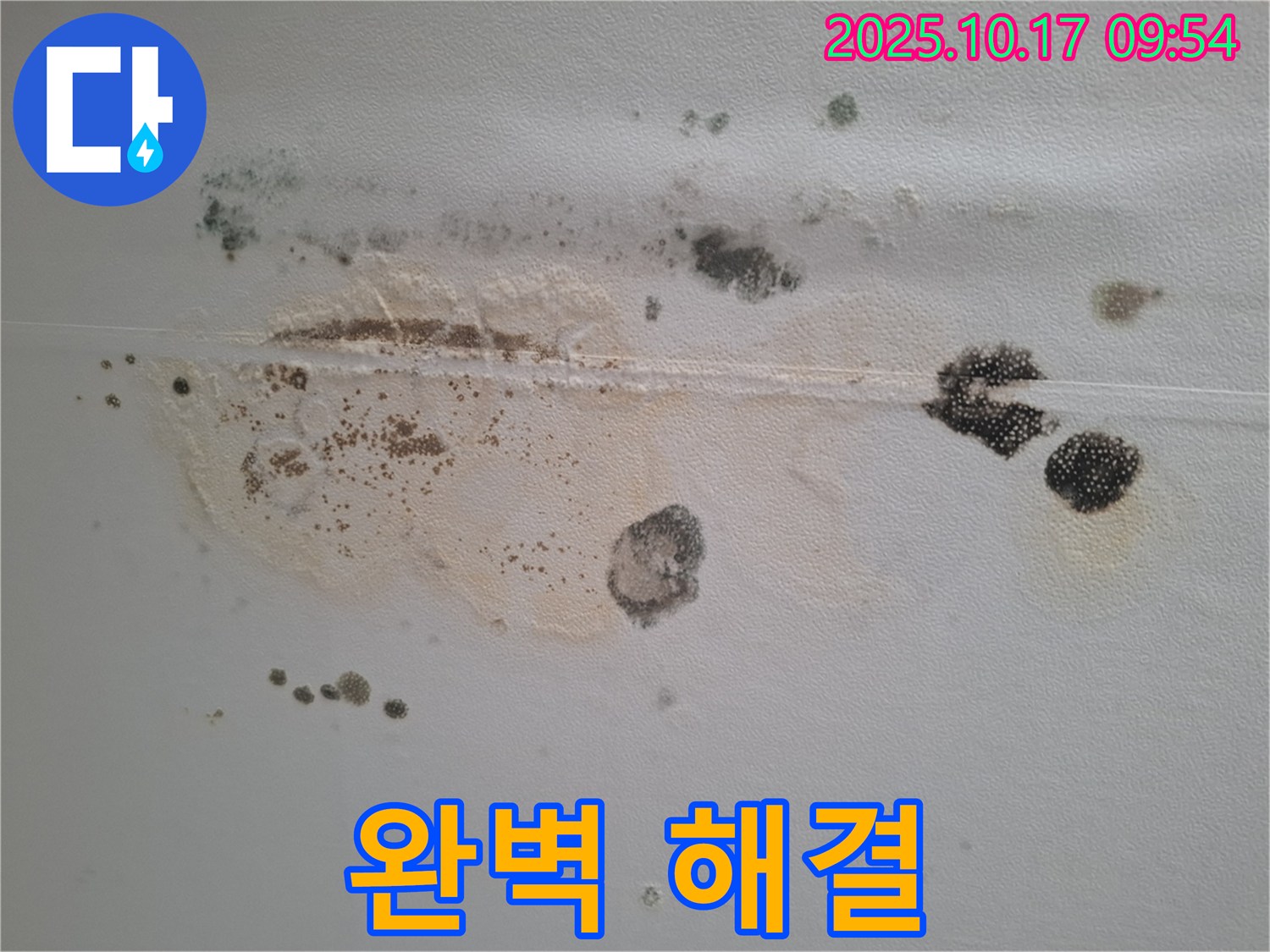 분당구 삼평동 봇들마을2단지 아파트 천장 누수 해결 후 - 곰팡이 없는 깨끗한 천장, 쾌적한 우리 집 완성