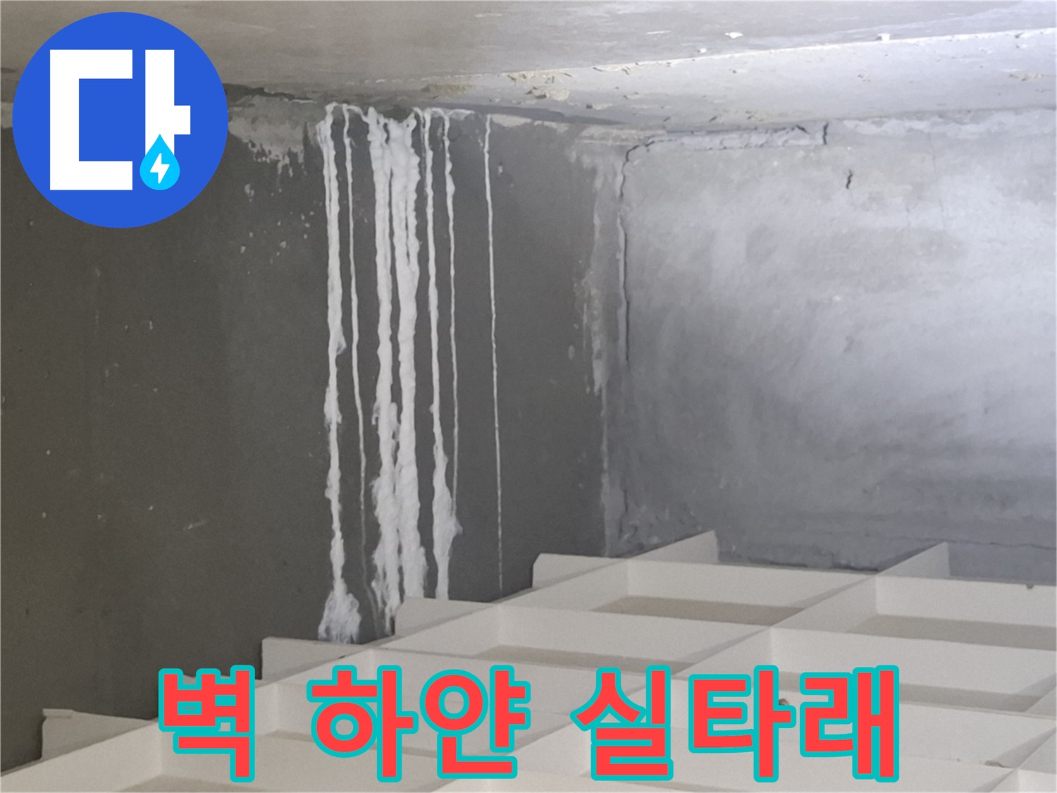 삼평동 누수 - 벽에 맺힌 하얀 실타래, 누수와 관련된 석회 성분일 가능성 정밀 분석