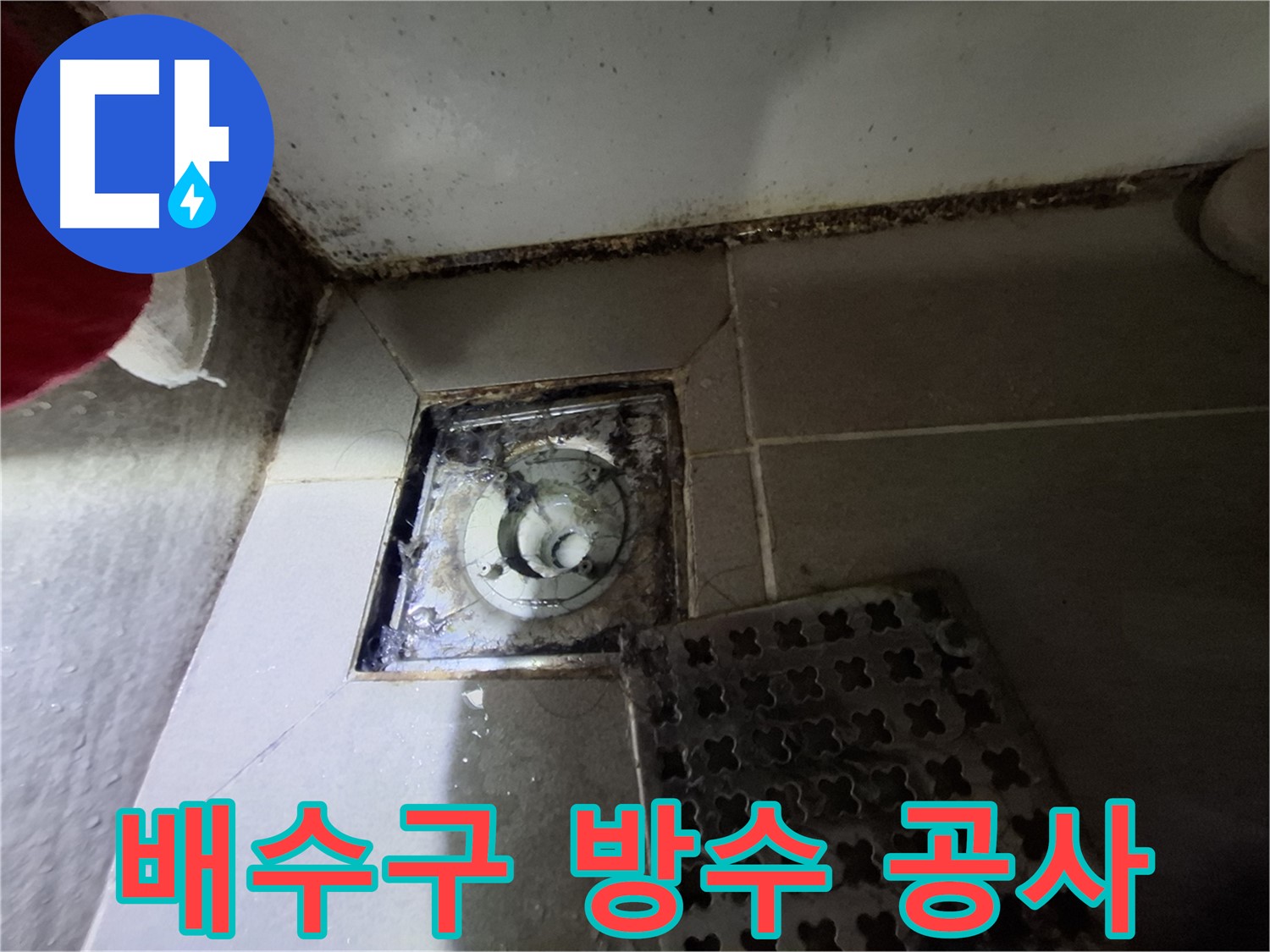삼평동 봇들마을 아파트 욕실 배수구 방수 공사 - 꼼꼼한 시공으로 누수 완벽 차단