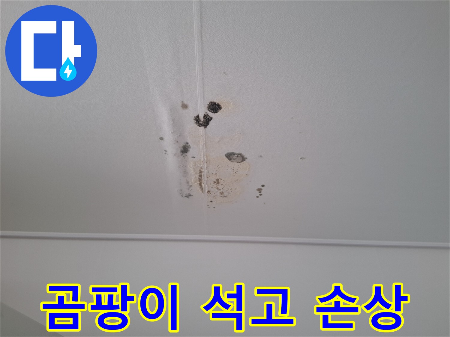 삼평동 봇들마을2단지 아파트 - 심각한 곰팡이와 석고보드 손상 - 빠른 조치가 필요합니다.
