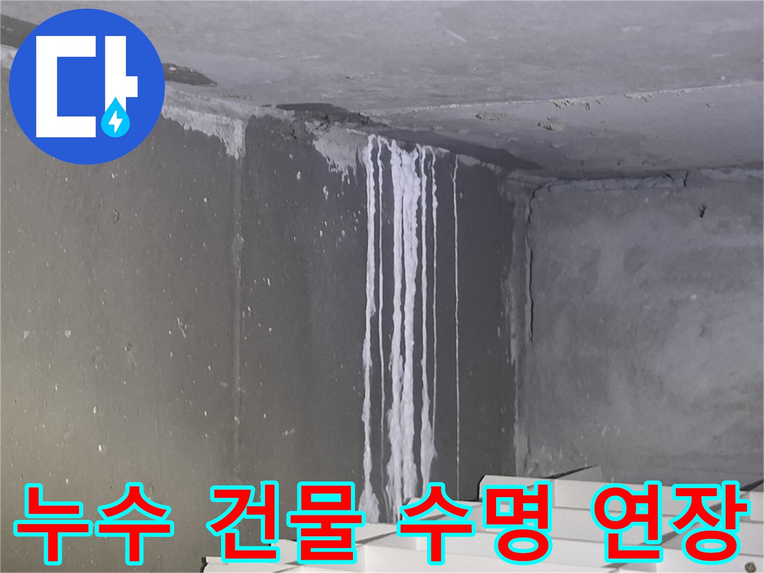 성남 건물 누수 - 건물 수명 연장의 시작