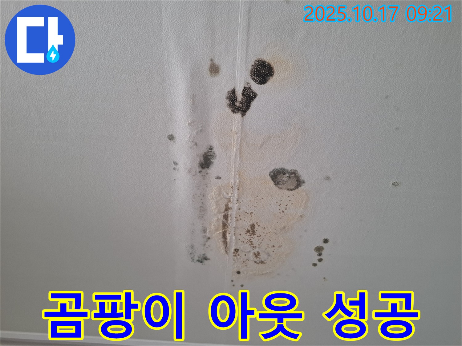 성남 봇들마을 아파트 누수 - 2단지 206동 곰팡이 OUT - 쾌적한 우리 집 만들기 성공