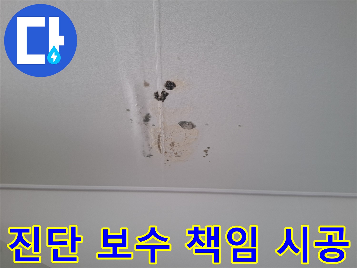 성남 봇들마을2단지 아파트 - 누수 진단부터 완벽한 보수 시공까지 책임지고 진행합니다.