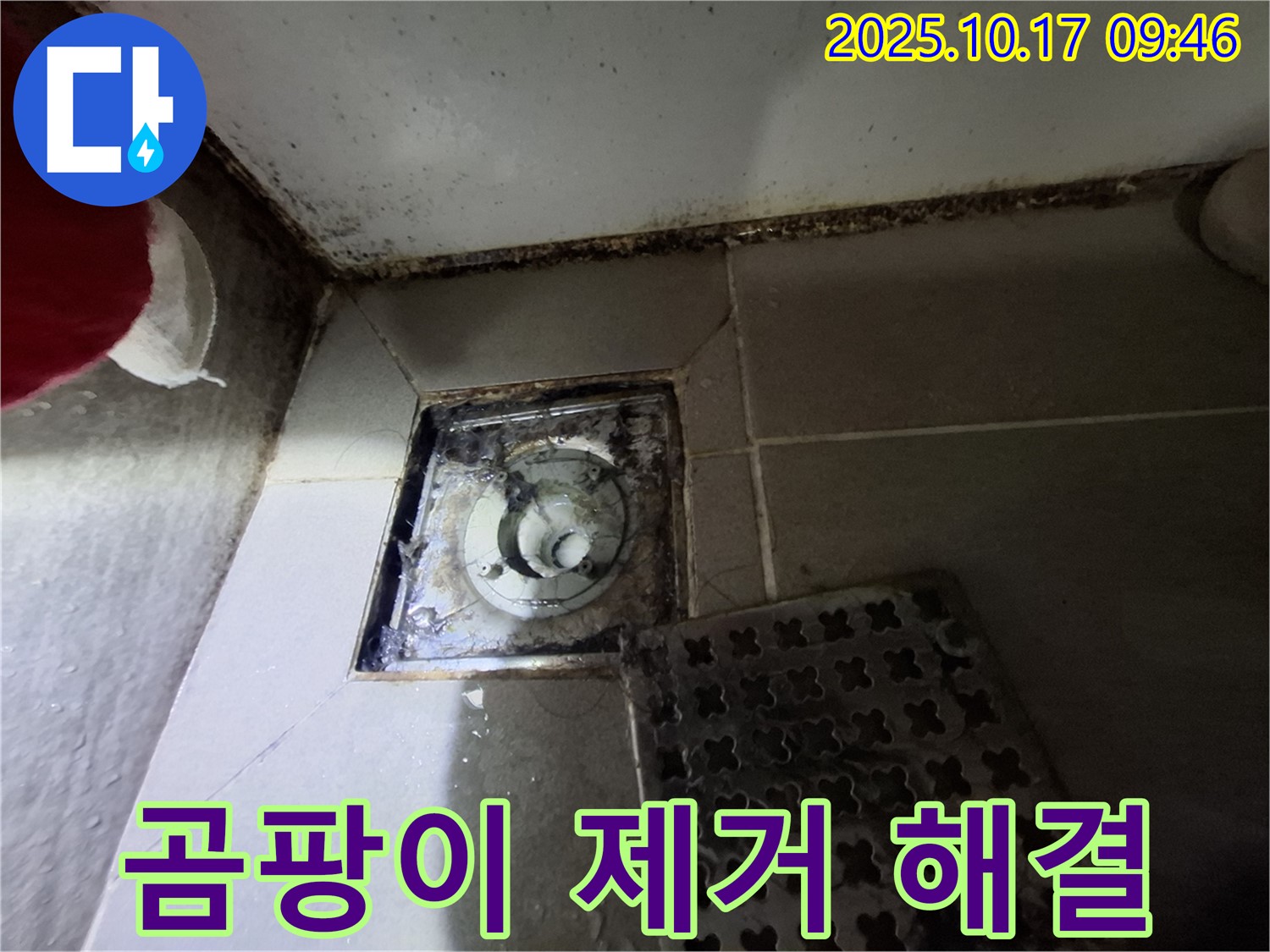 성남 봇들마을2단지 아파트 욕실 배수구 곰팡이 제거 - 누수 완벽 해결 - 책임 시공으로 쾌적한 욕실을 만들어 드립니다.