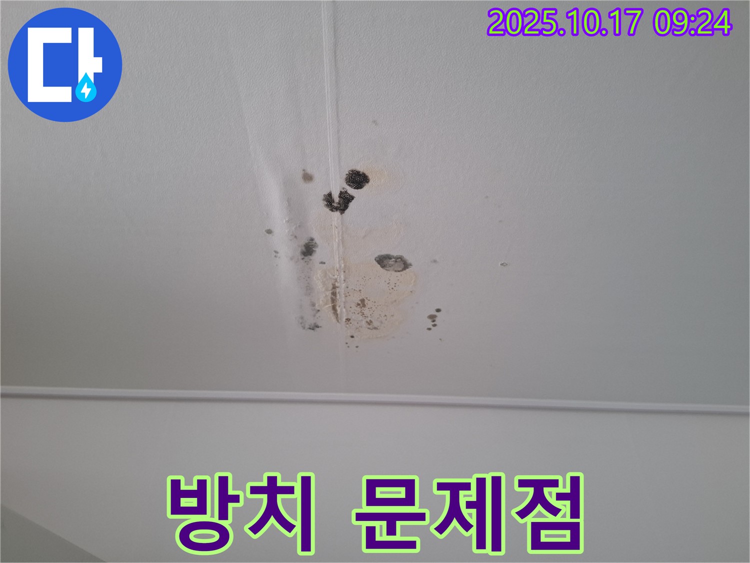 성남 봇들마을2단지 아파트 천장 곰팡이 - 곰팡이를 방치하면 어떤 문제가 생길까요?