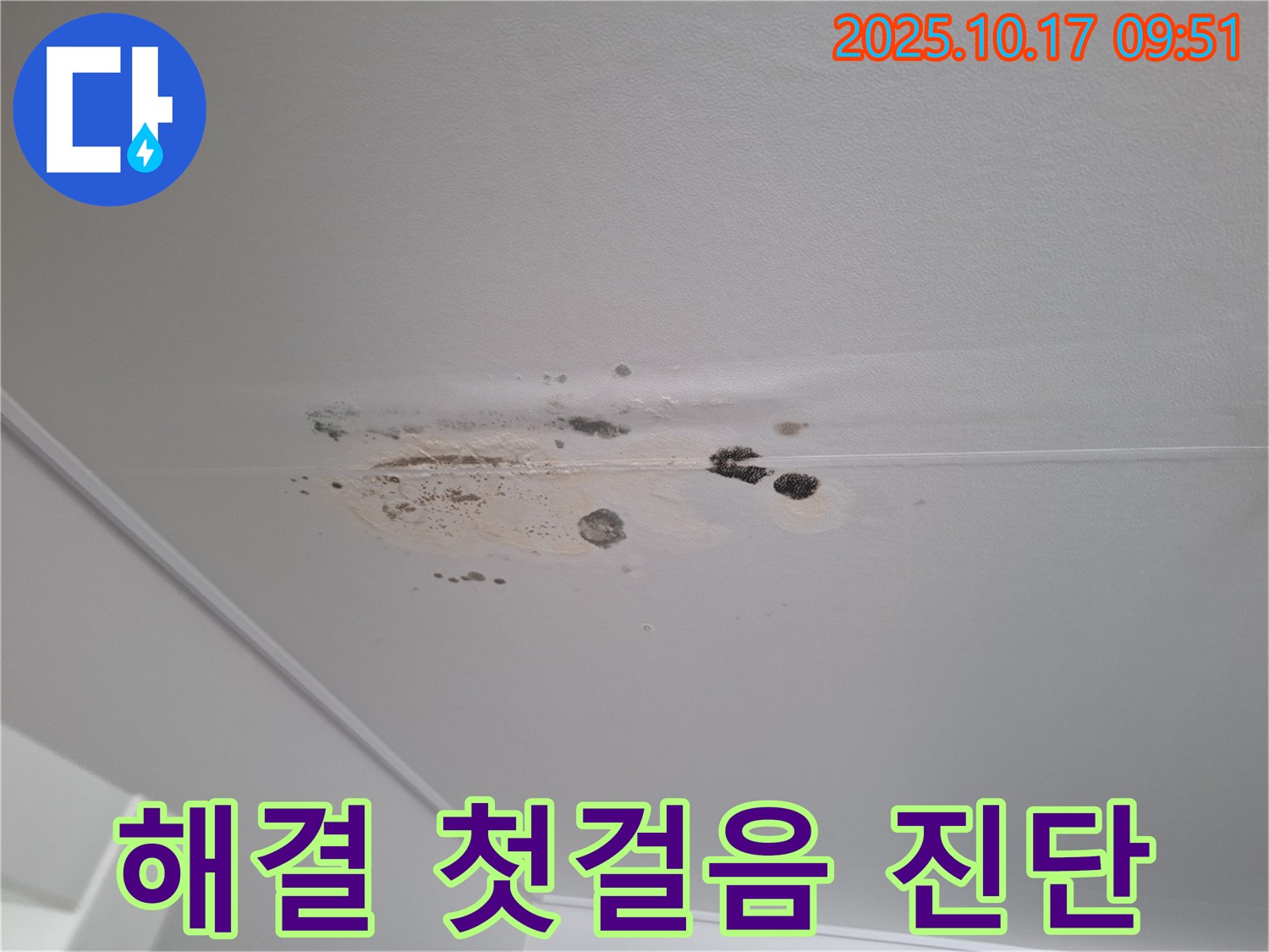성남 분당 누수 - 곰팡이 얼룩 천장 - 누수 해결 첫걸음 - 진단 시작