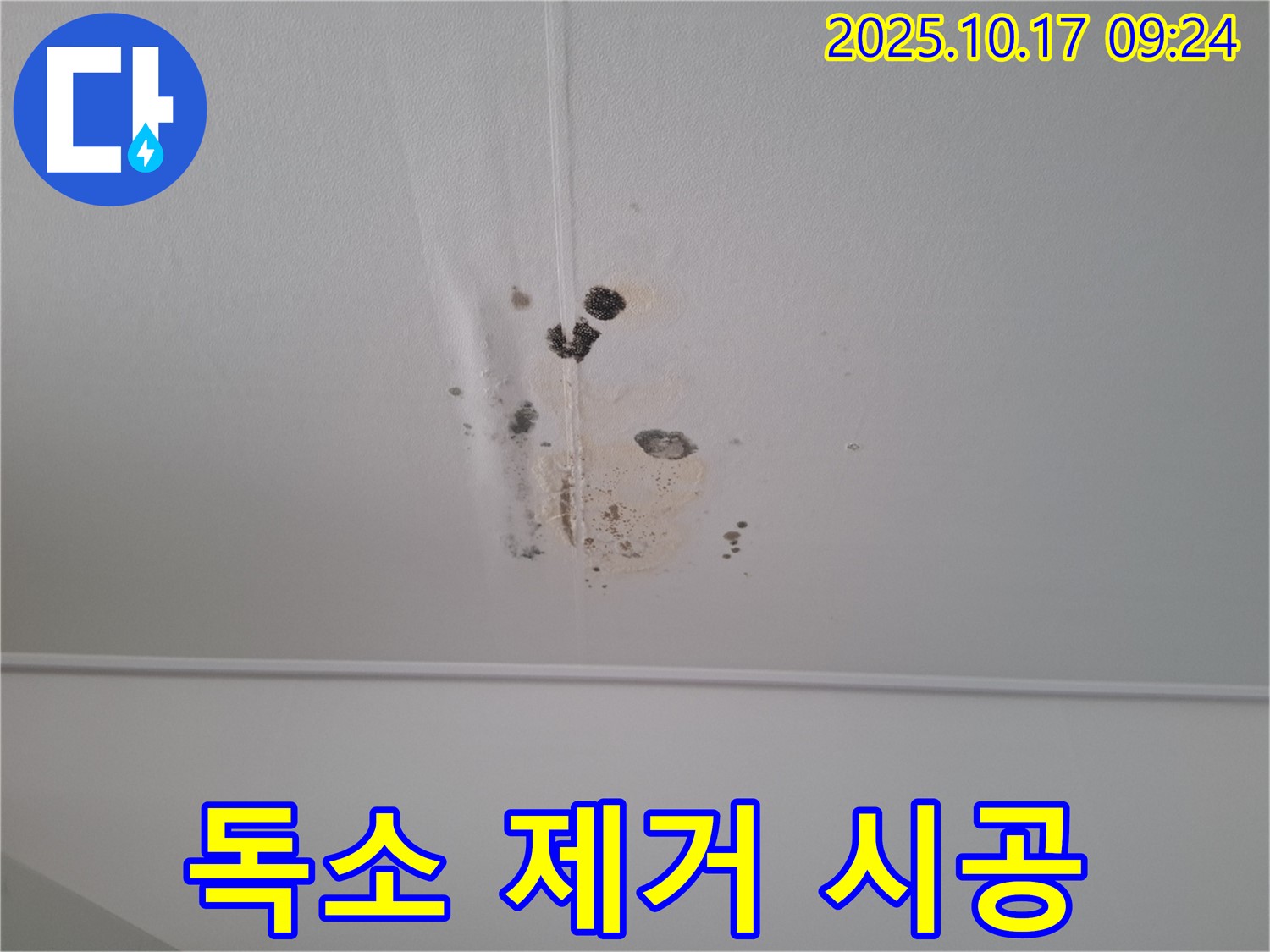 성남 분당 봇들마을 아파트 천장 누수 - 곰팡이 독소까지 제거하는 건강 시공