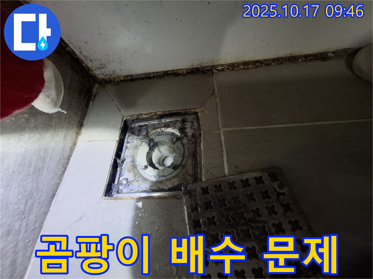 성남 분당구 삼평동 봇들마을 아파트 - 욕실 곰팡이 제거 및 배수 문제 해결 - 쾌적한 욕실 환경으로.