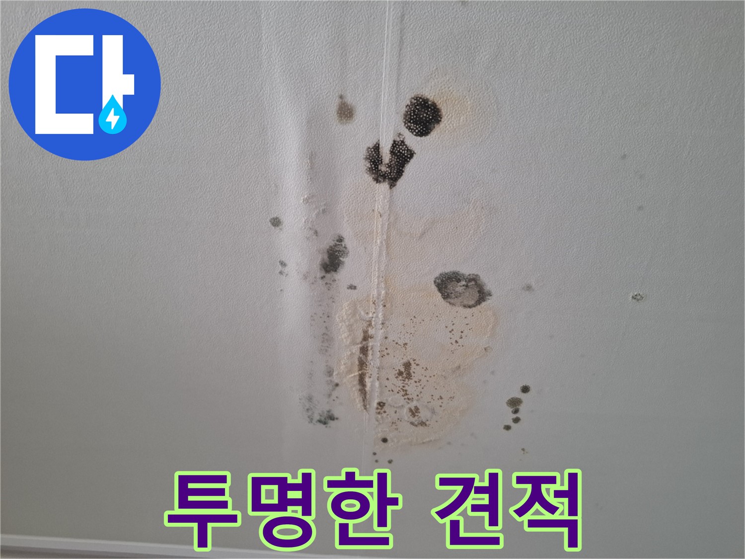 성남 삼평동 봇들마을 누수 - 투명한 견적으로 확실한 누수 공사