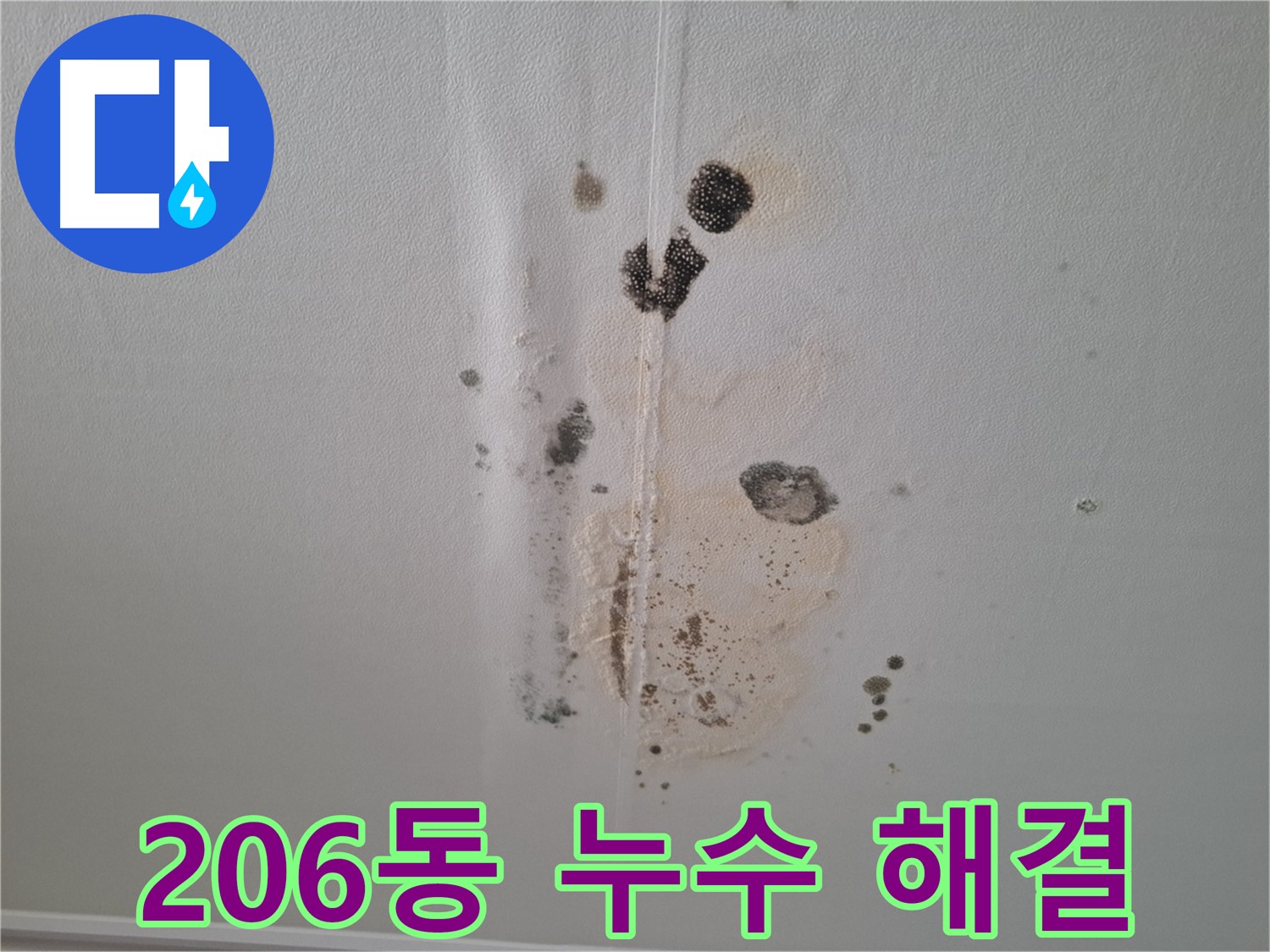 성남 삼평동 아파트 누수 - 206동 누수 해결 전문