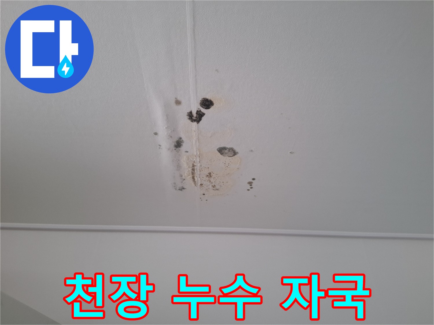 성남 삼평동 아파트 천장에 생긴 누수 자국 - 시간이 지날수록 곰팡이가 번지고 피해가 커질 수 있습니다.