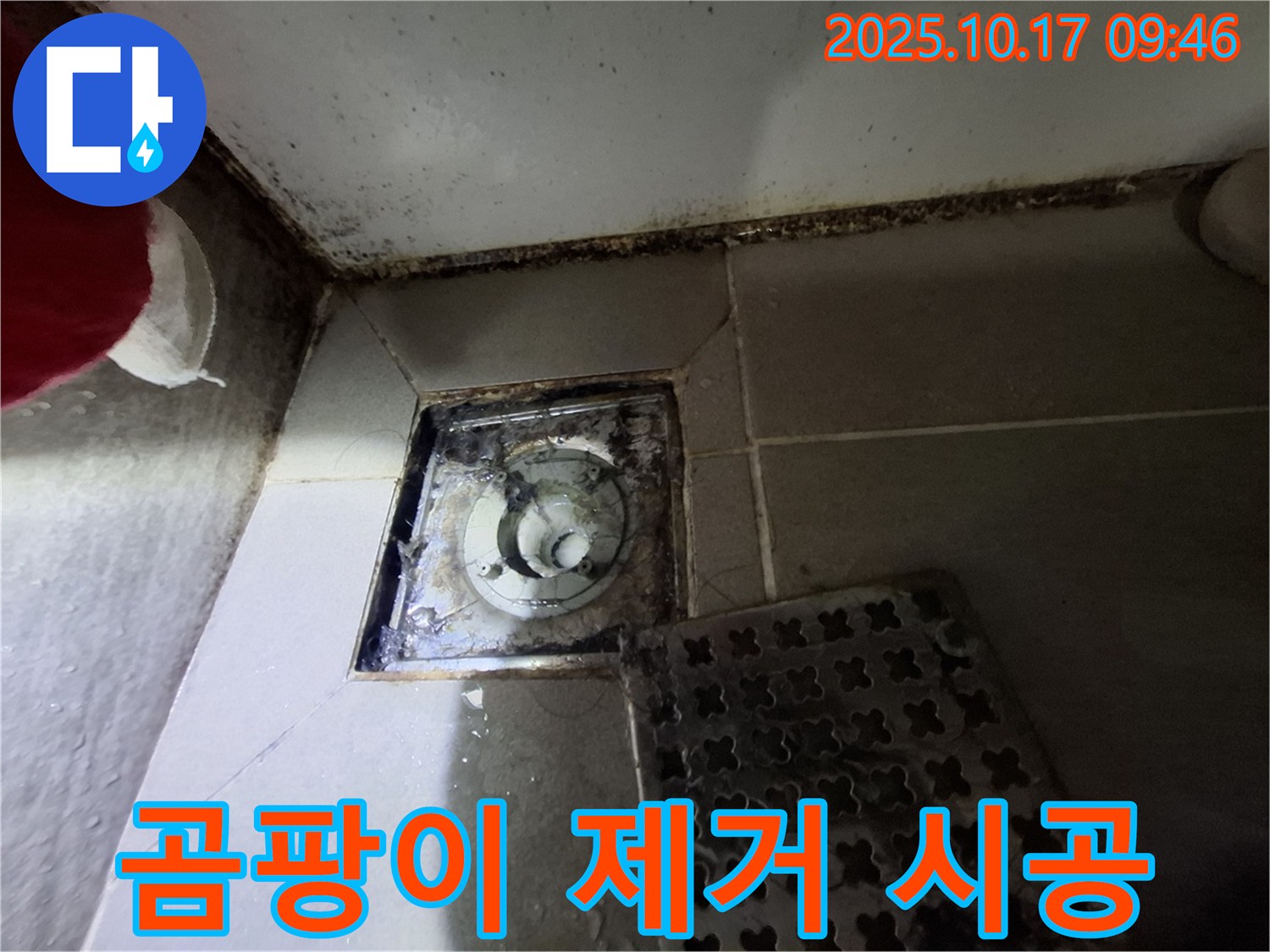 성남 판교 봇들마을 아파트 욕실 배수구 곰팡이 제거 - 누수 완벽 차단 프리미엄 시공 - 쾌적한 욕실 환경을 만들어 드립니다.