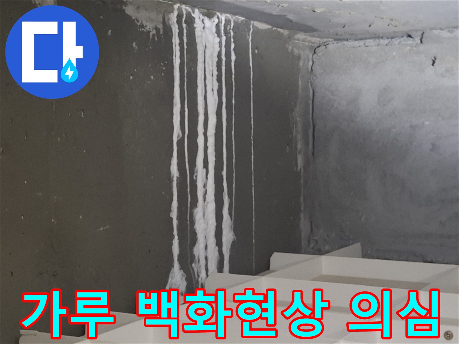 성남시 분당구 봇들마을 아파트 누수 - 계단 '하얀 가루' 누수, 백화현상과 누수를 의심해봐야 합니다.