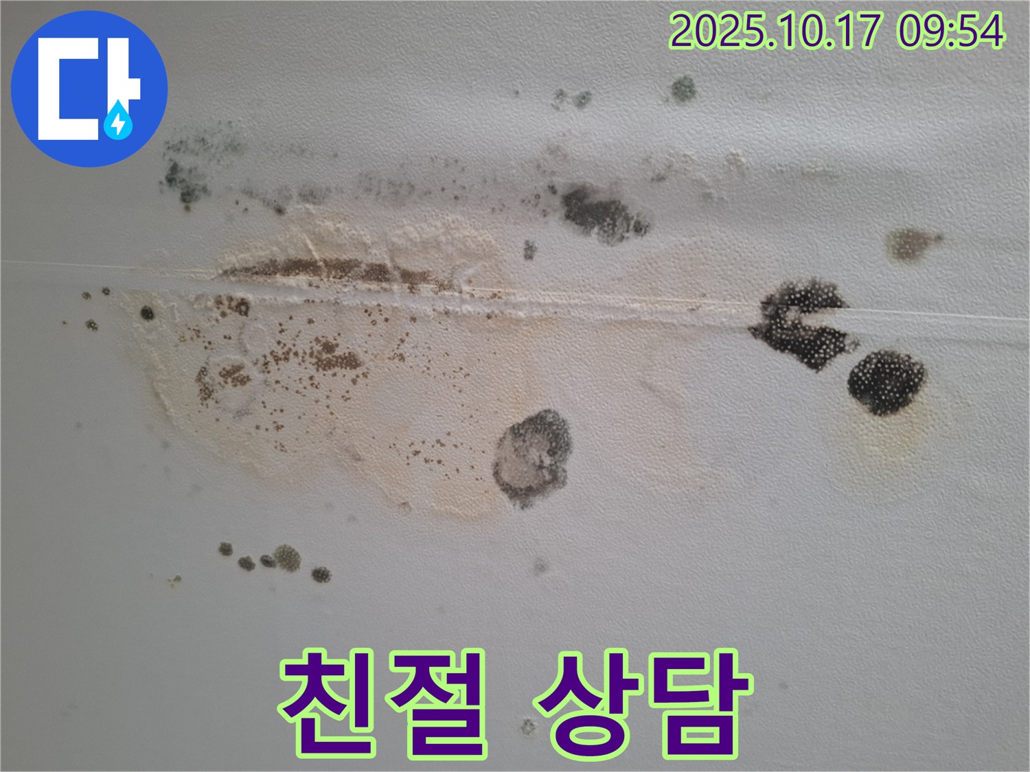 성남시 분당구 봇들마을 아파트 천장 누수 문의 - 친절하고 자세한 상담으로 고객님의 궁금증 해결