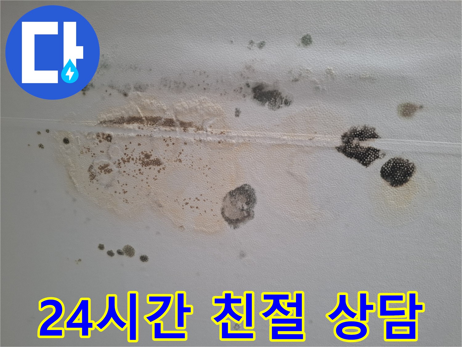성남시 분당구 삼평동 누수 - 곰팡이 핀 천장, 24시간 친절 상담 제공