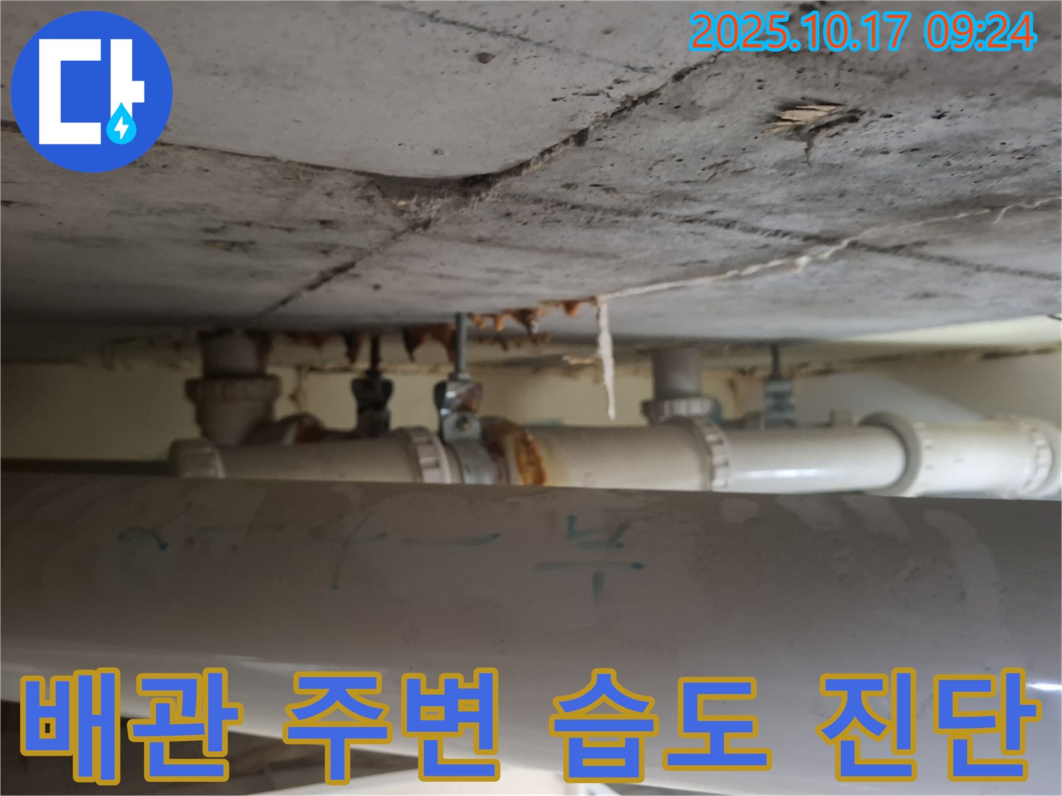 성남시 분당구 삼평동 봇들마을 아파트 - 천장 배관 주변 습도 증가, 누수 가능성 세밀하게 진단