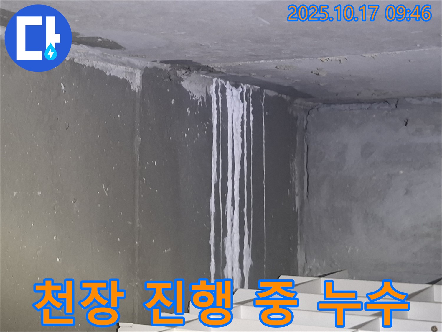 성남시 분당구 삼평동 봇들마을2단지 아파트 계단실 천장 누수 - 현재 진행 중인 누수로 인해 천장에 석회수가 흐르고 있습니다.