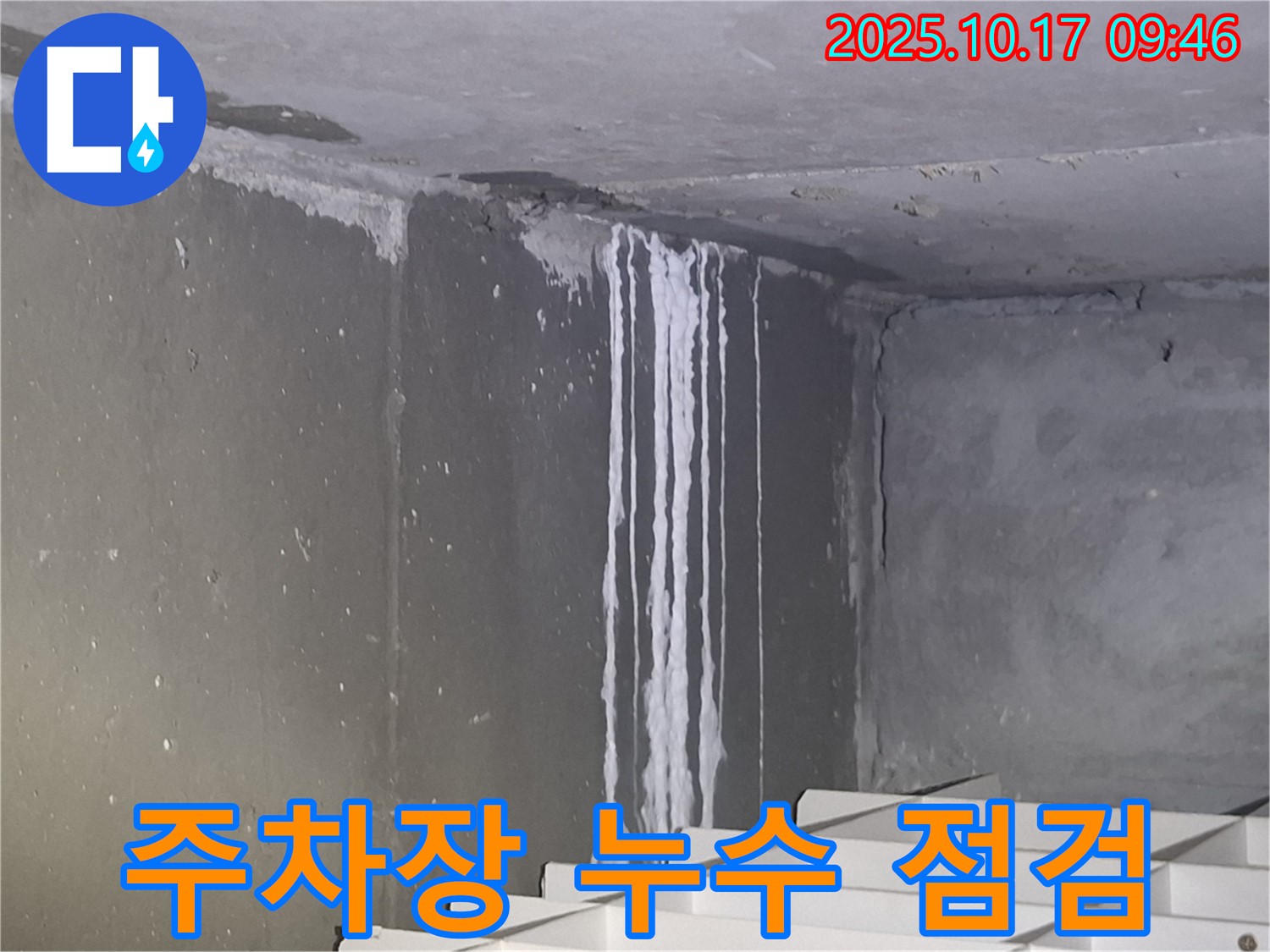 성남시 분당구 삼평동 봇들마을2단지 아파트 지하주차장 누수 긴급 점검 - 천장에서 떨어진 석회 흔적이 누수의 심각성을 보여줍니다.