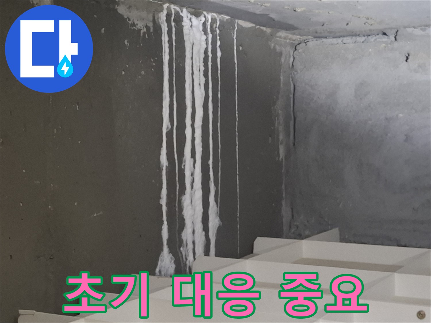 성남시 분당구 삼평동 아파트 누수 - 계단 석회수 누수 발생! 초기 대응의 중요성을 강조하는 이미지.