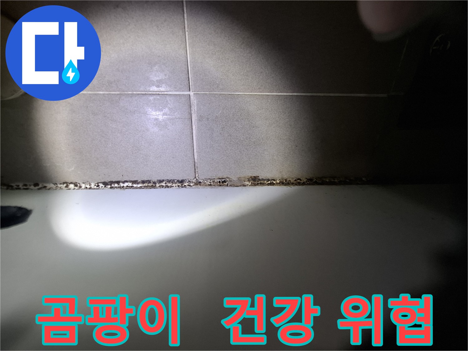 욕조 곰팡이 - 건강에 해로운 곰팡이, 빠른 제거 필수!
