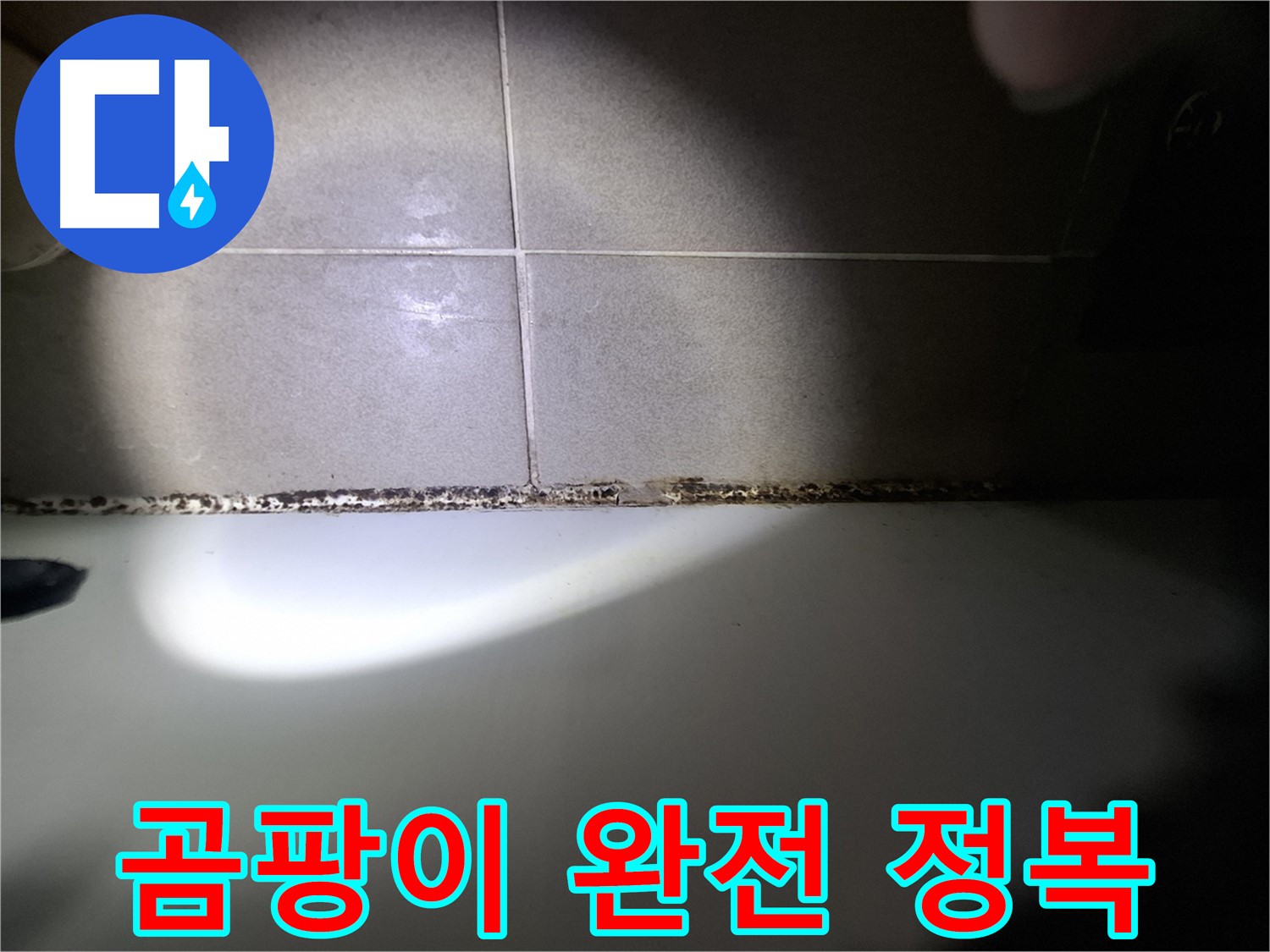 욕조 곰팡이 - 곰팡이 완전 정복을 위한 맞춤 솔루션