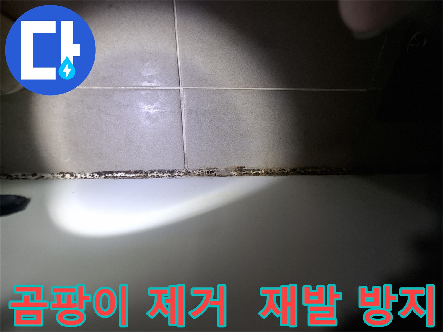 욕실 곰팡이 제거 - 곰팡이 재발 방지에 심혈 기울임