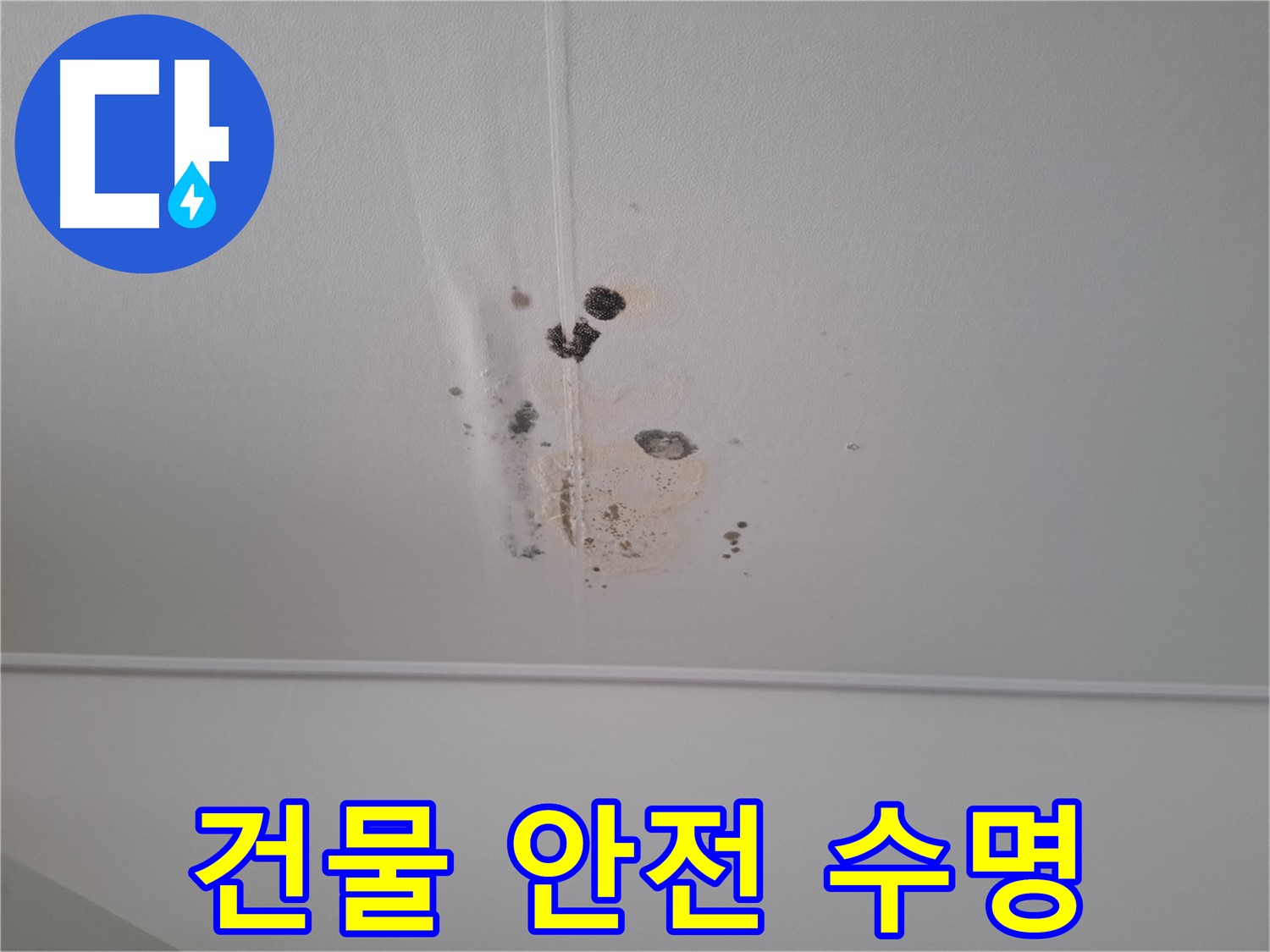 판교 봇들마을 2단지 아파트 - 누수를 방치하면 건물 안전에 심각한 문제가 발생할 수 있으므로 - 조기 진단으로 건물 수명을 연장하세요.