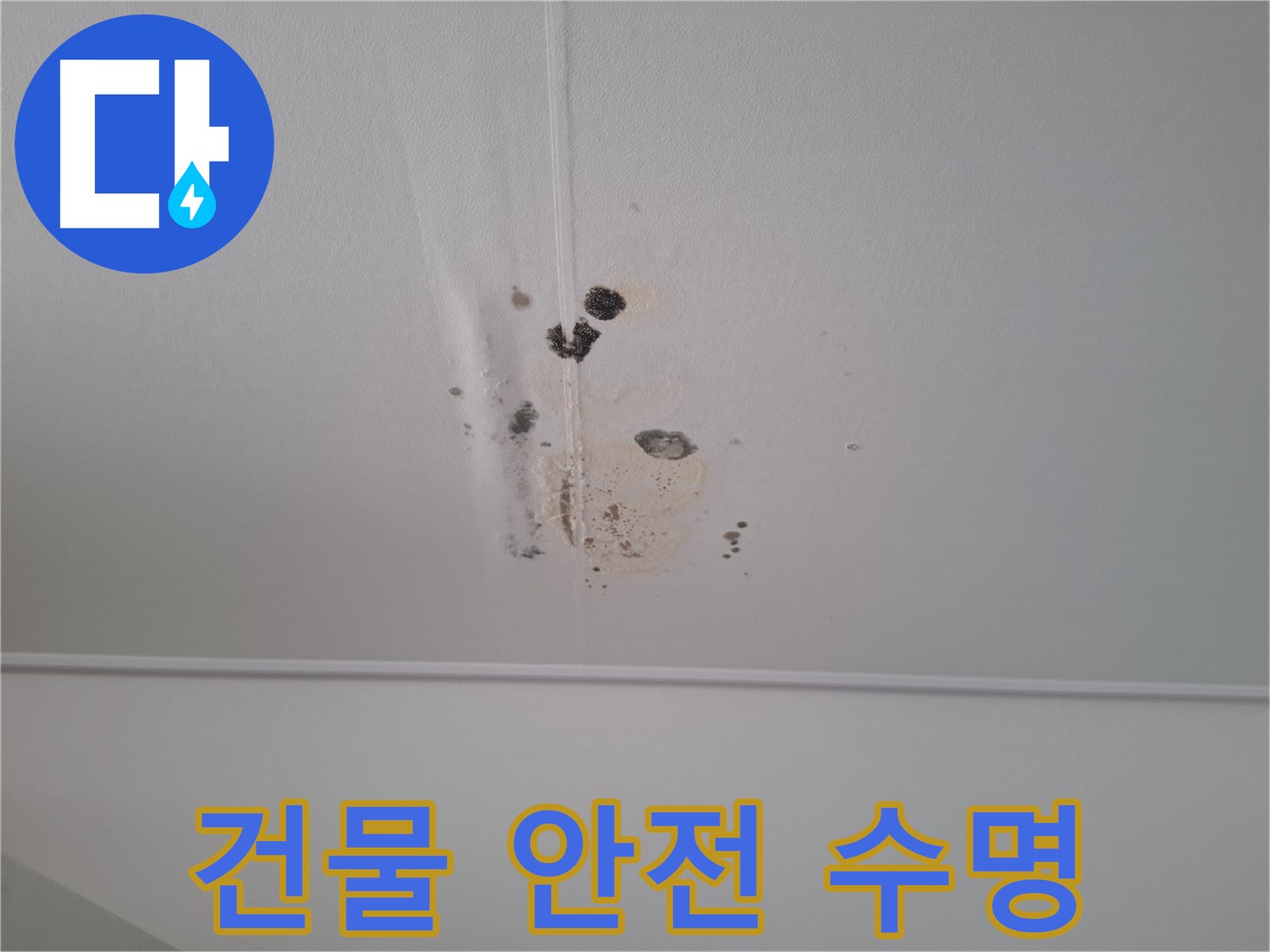 판교 봇들마을 2단지 아파트 - 누수를 방치하면 건물 안전에 심각한 문제가 발생할 수 있으므로 - 조기 진단으로 건물 수명을 연장하세요.