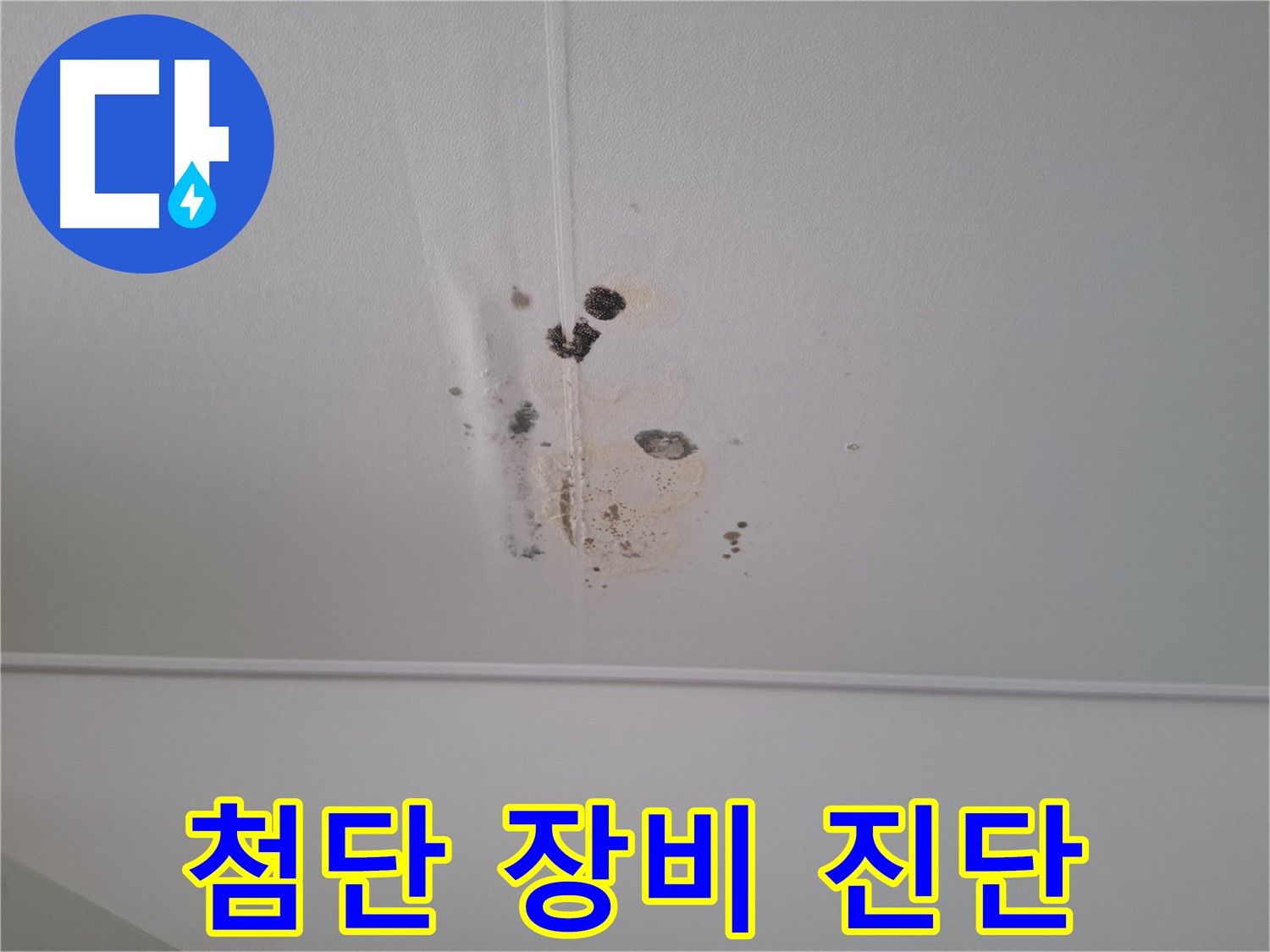 판교 봇들마을 2단지 아파트 - 첨단 장비를 사용하여 정확하게 진단하고, 확실하게 누수 문제를 해결합니다.