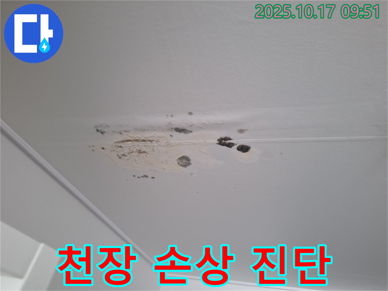 판교 봇들마을 누수 - 곰팡이와 얼룩으로 인한 천장 손상 - 누수 진단 진행