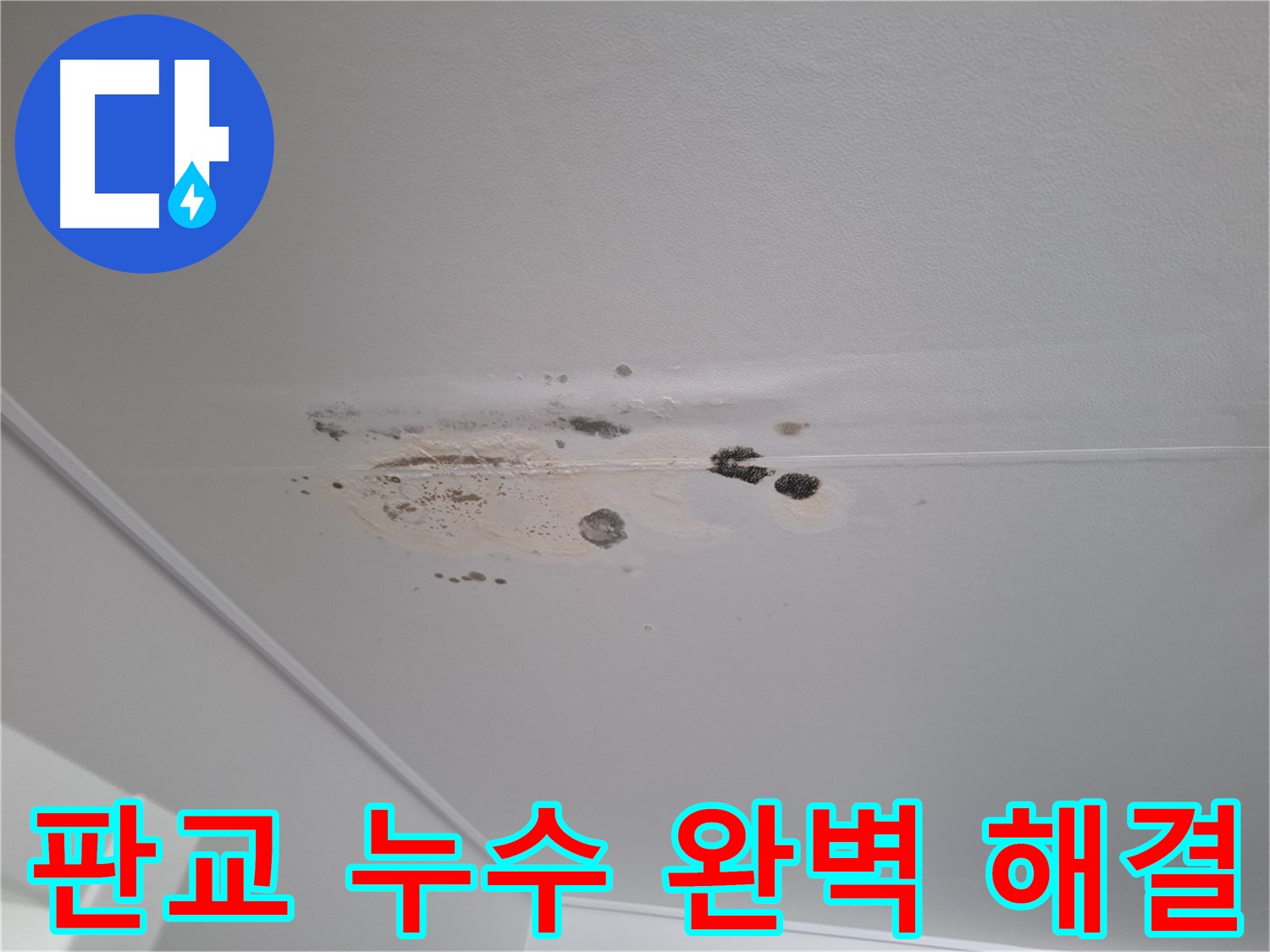 판교 봇들마을 아파트 천장 누수 - 완벽한 누수 해결 약속