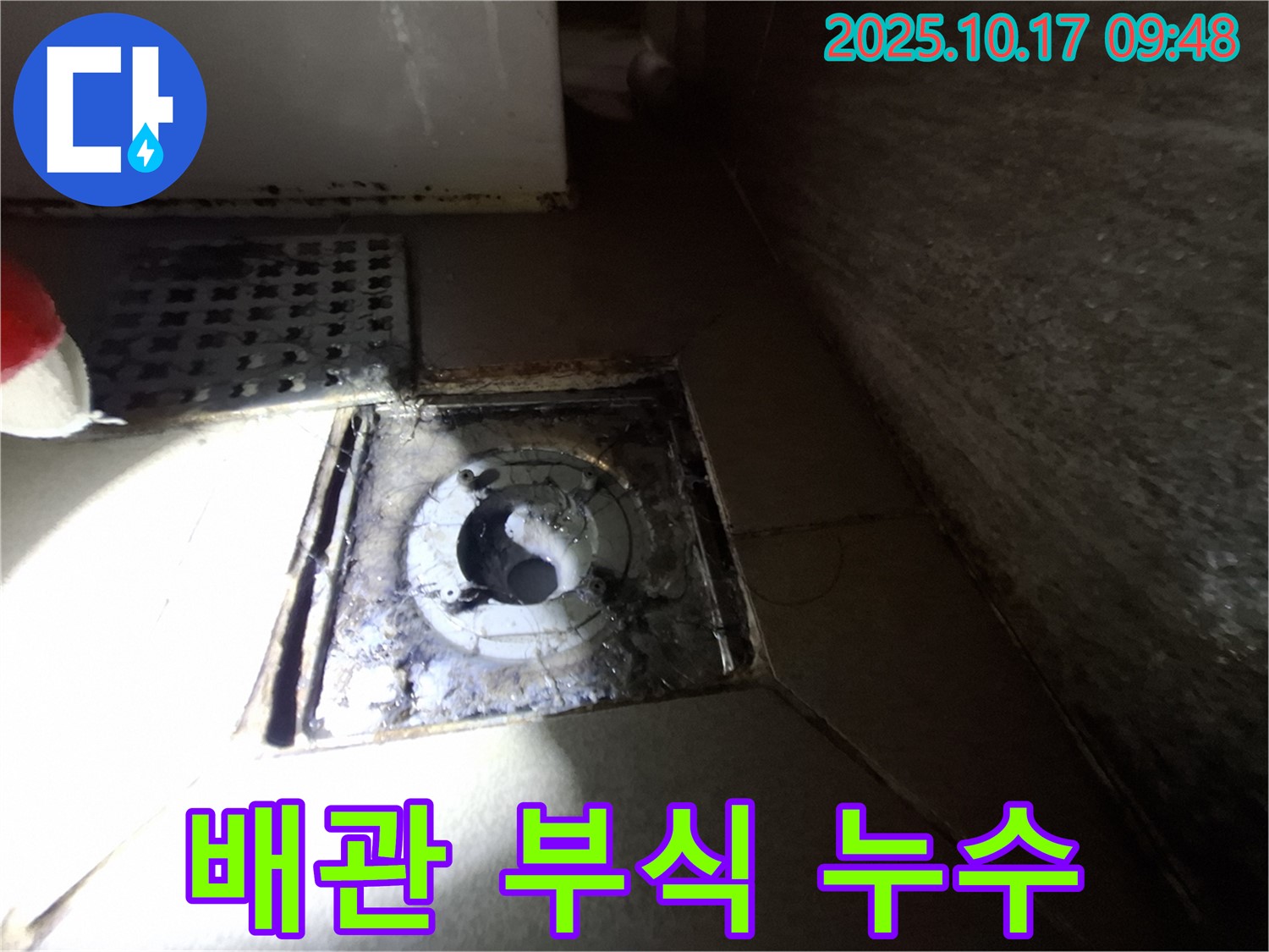 판교 삼평동 봇들마을 2단지 아파트 욕실 배수구 주변 배관 연결부 부식 - 누수 가능성을 진단하고 해결책을 제시합니다.