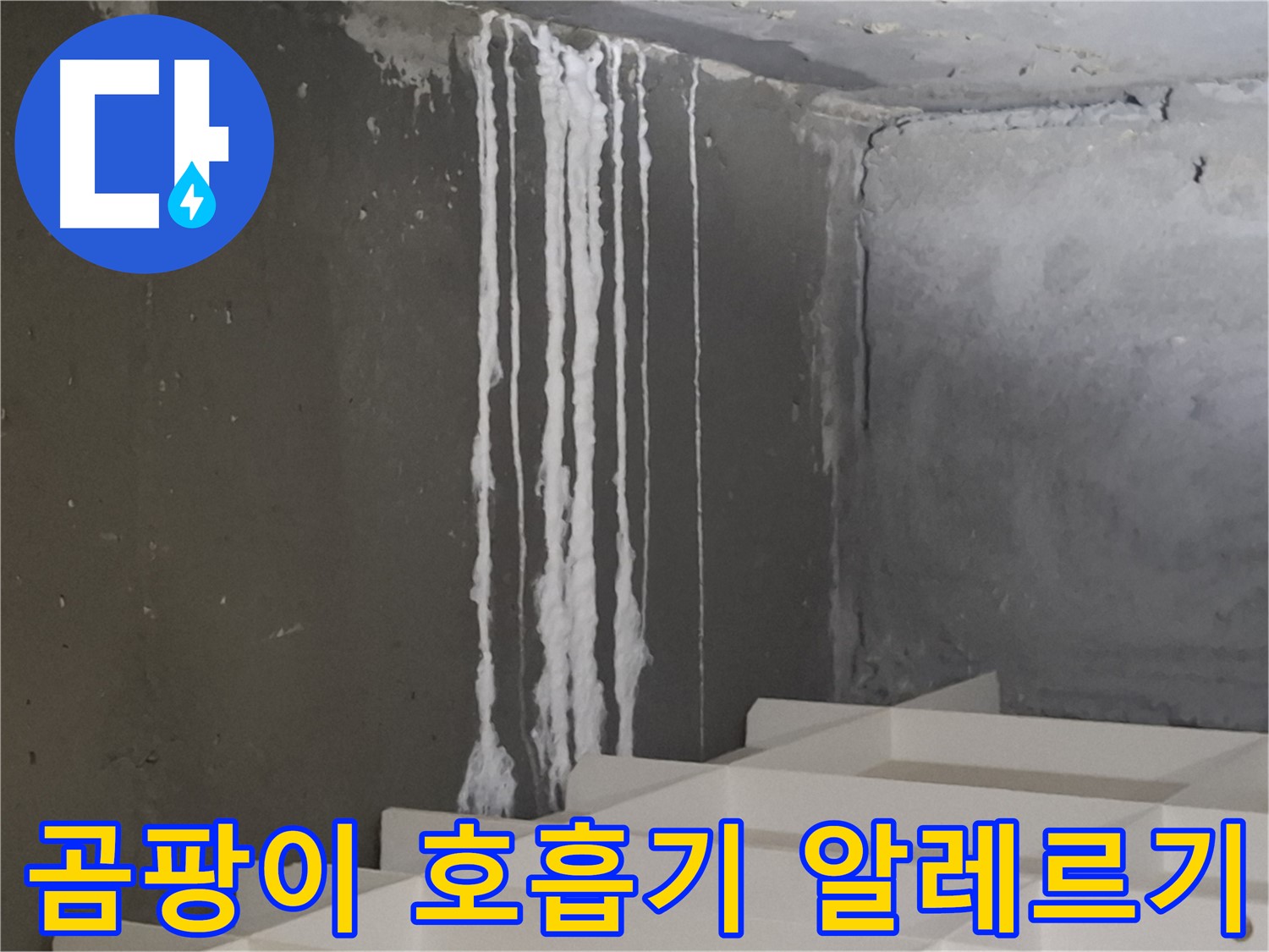 판교 삼평동 봇들마을 아파트 - 계단 '하얀 곰팡이' 누수는 호흡기 질환과 알레르기를 유발할 수 있습니다.