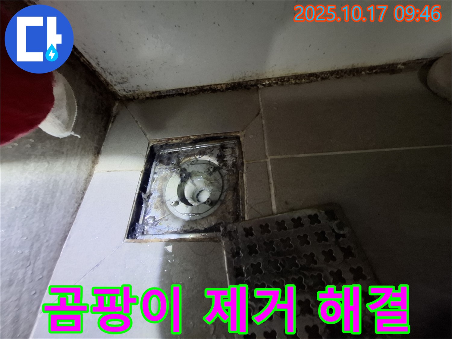 판교 삼평동 봇들마을 아파트 욕실 배수구 곰팡이 제거 - 누수 완벽 해결 - 쾌적한 욕실 환경을 위한 최적의 솔루션.