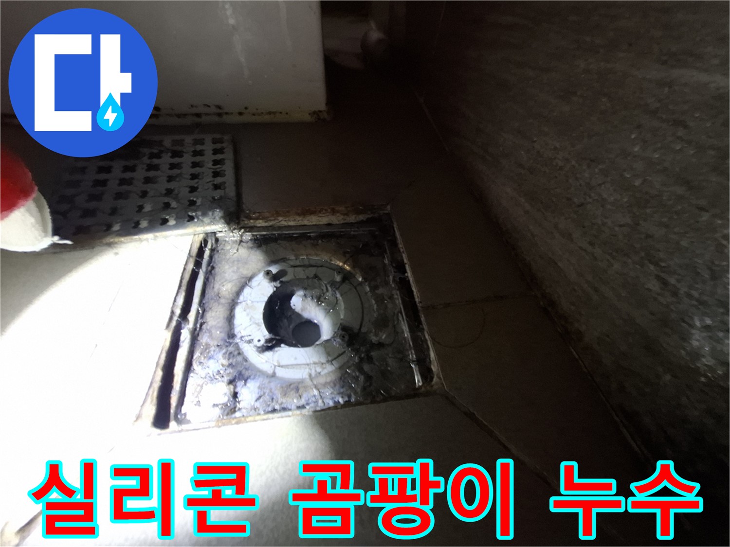 판교 삼평동 봇들마을 욕실 실리콘 노후 - 누수 가능성 점검, 곰팡이와 함께 살펴봐야