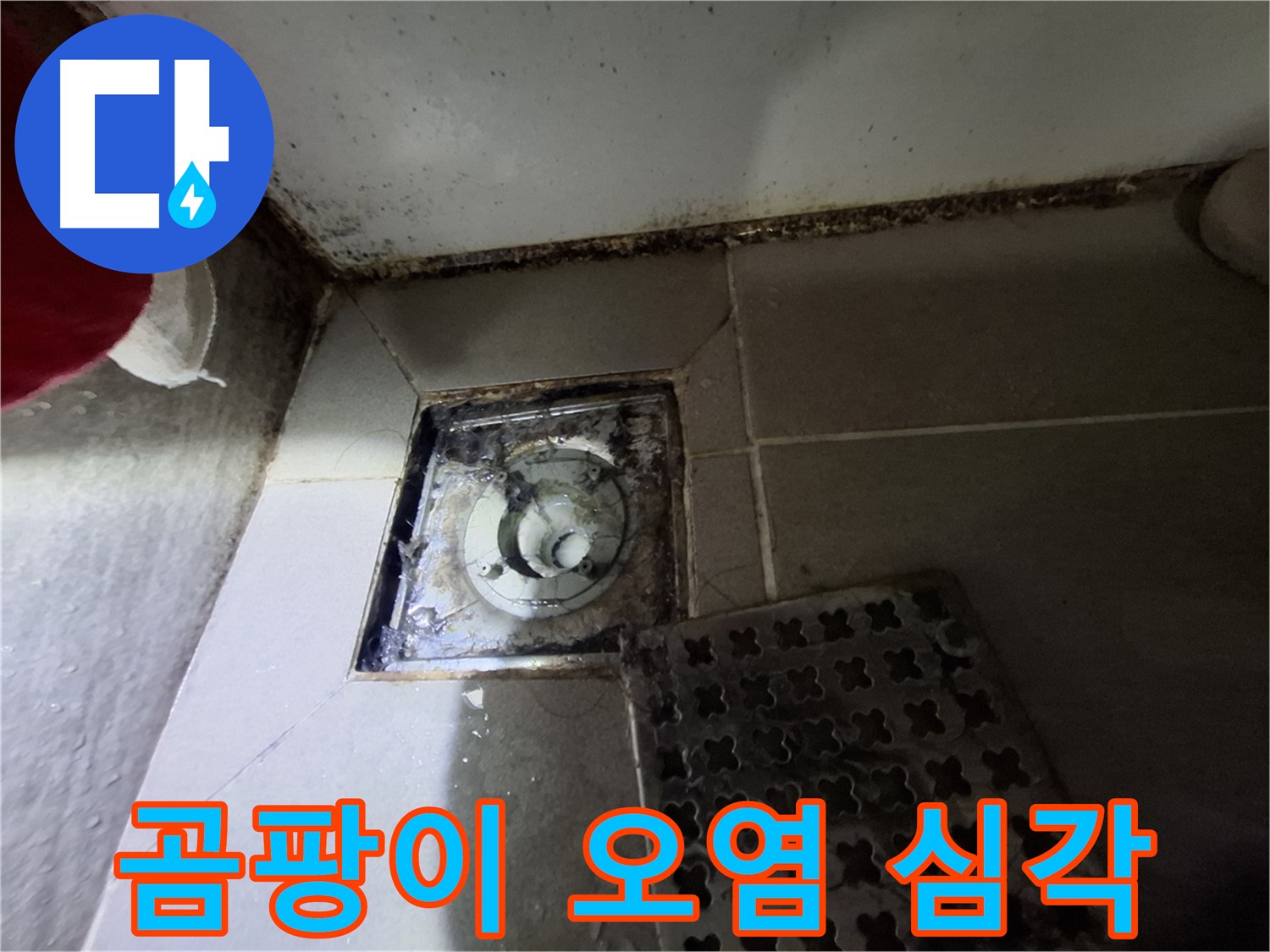 판교 삼평동 봇들마을2단지 욕실 - 곰팡이 오염 심각, 누수 의심