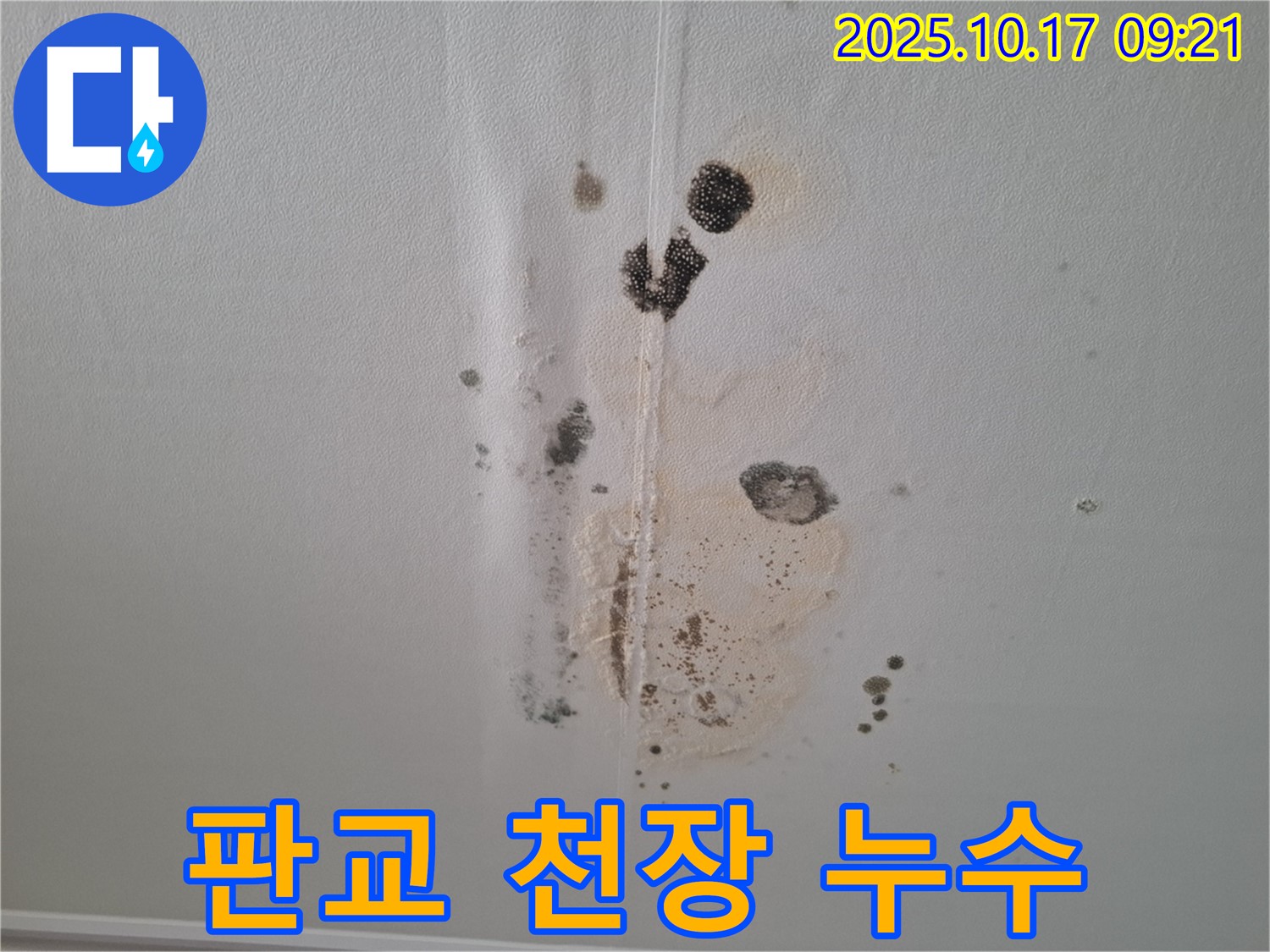 판교 아파트 천장 누수 - 누수 흔적과 곰팡이 발생으로 인한 피해 사진입니다.