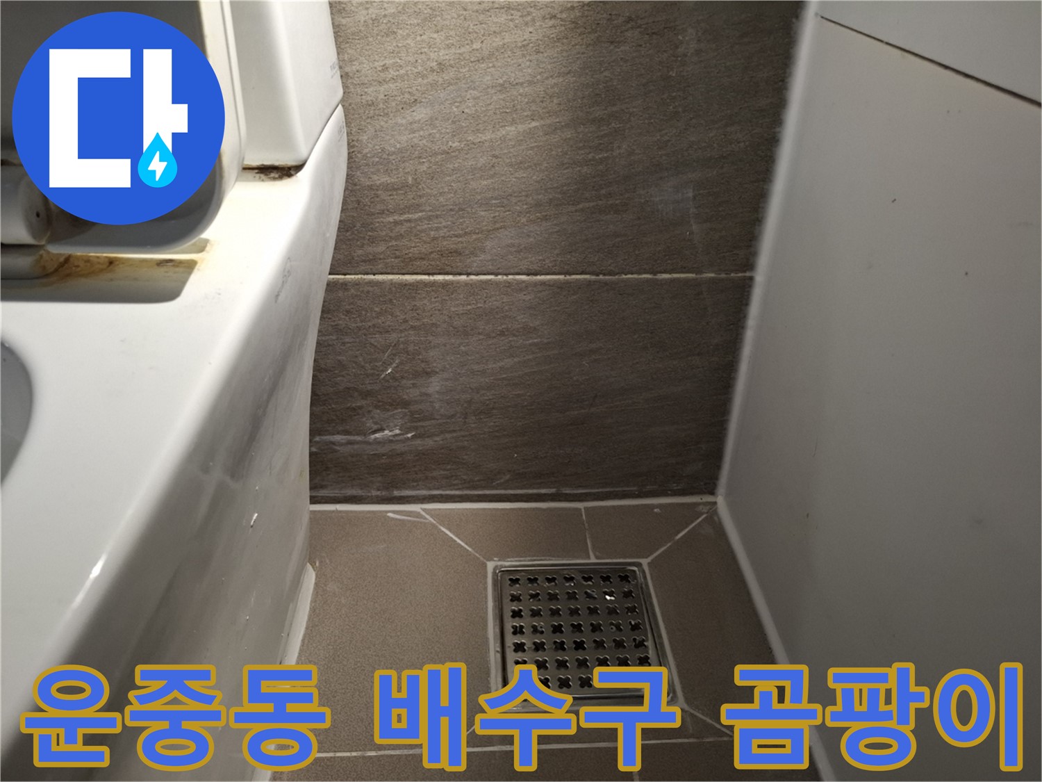 판교 운중동 화장실 배수구 곰팡이 - 청소 해결?