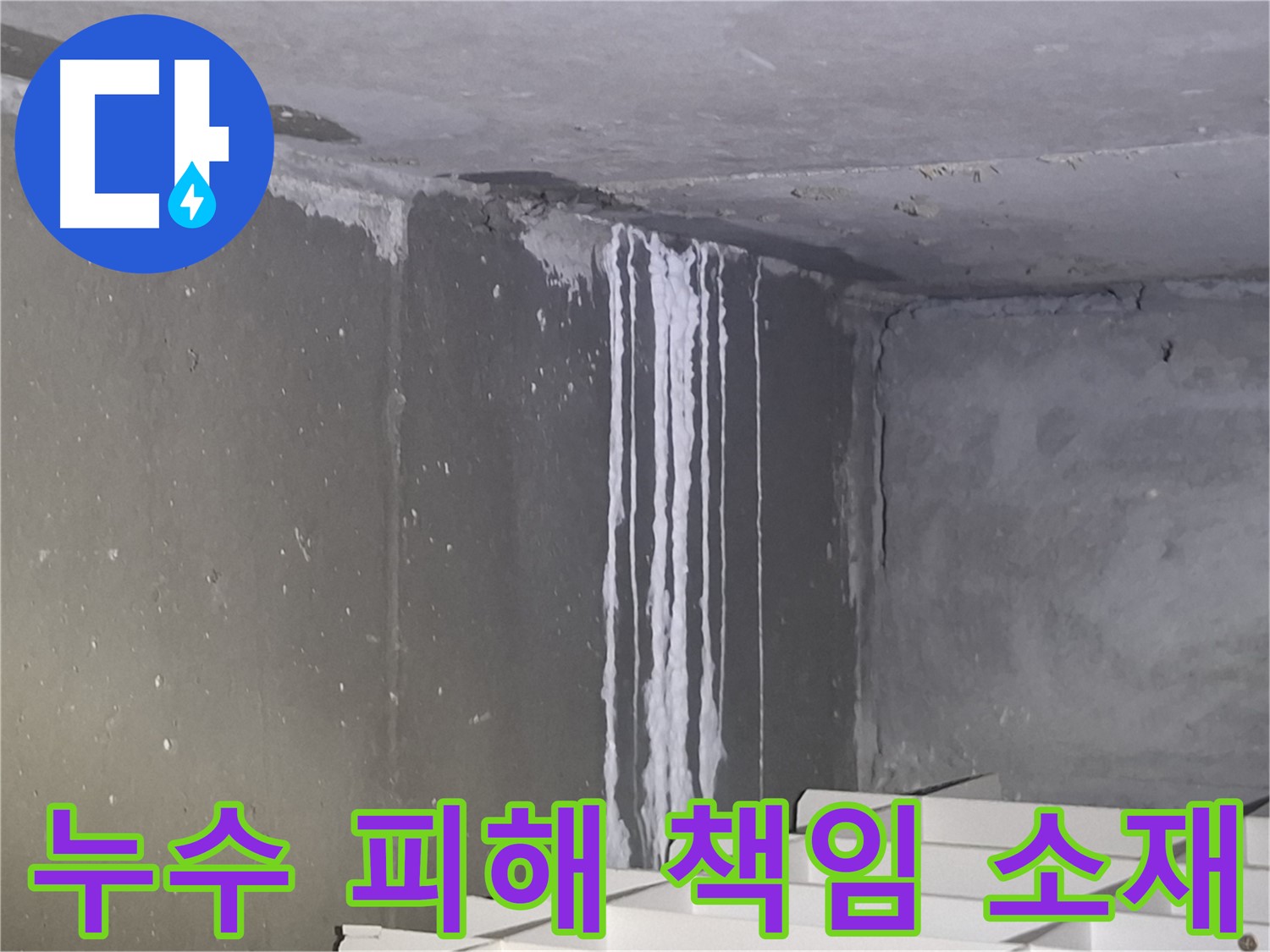 봇들마을 건물 계단 누수 - 누수 피해 책임 소재는?