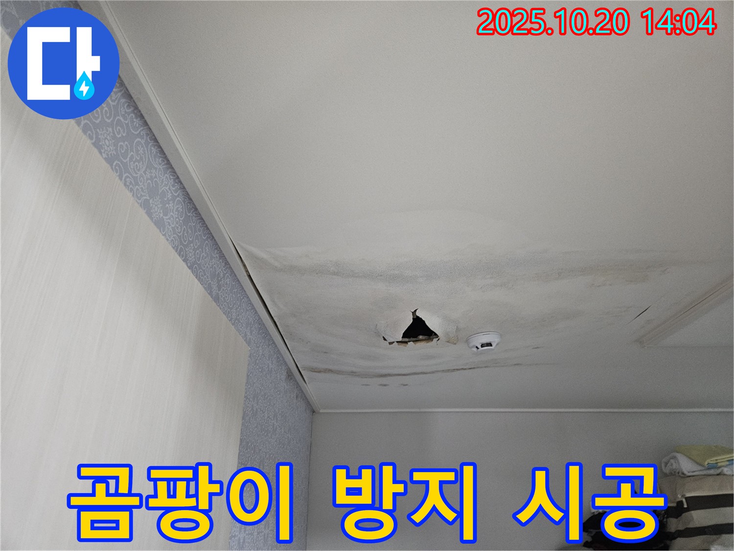 강동구 천호동 아파트 천장 누수 - 누수 해결과 함께 곰팡이 방지 시공 진행