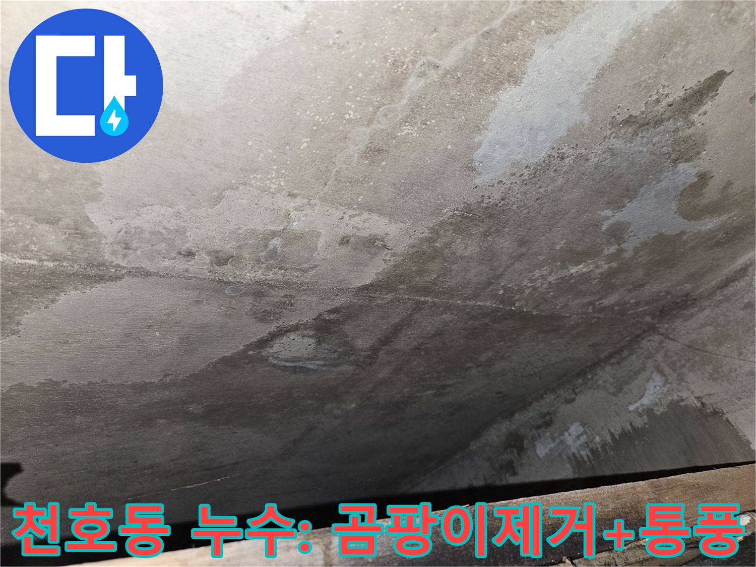 강동구 천호동 콘크리트 누수 - 곰팡이 제거 후 통풍으로 습도 조절