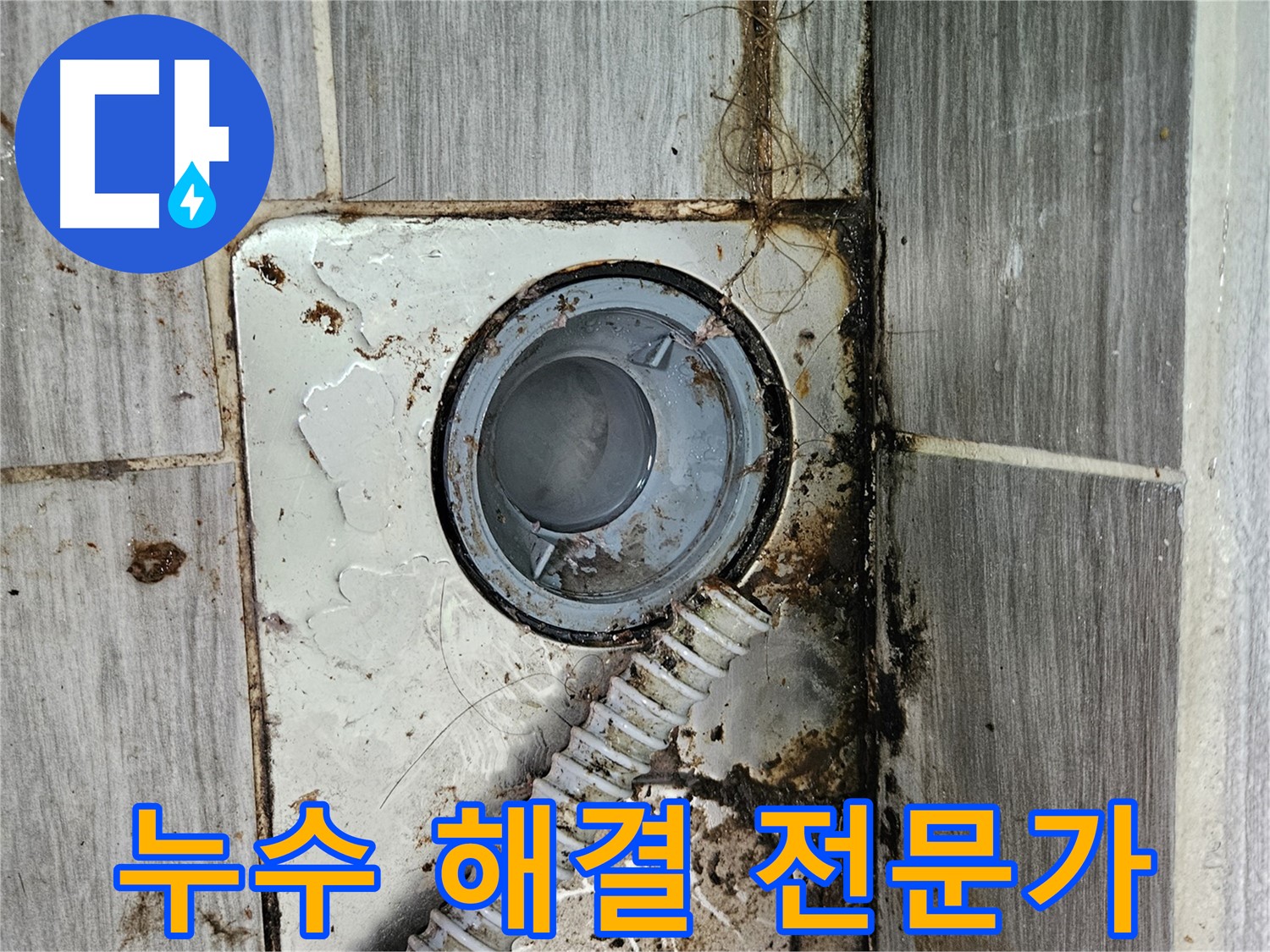 누수 문제 해결 전문가 - 숙련된 기술과 노하우