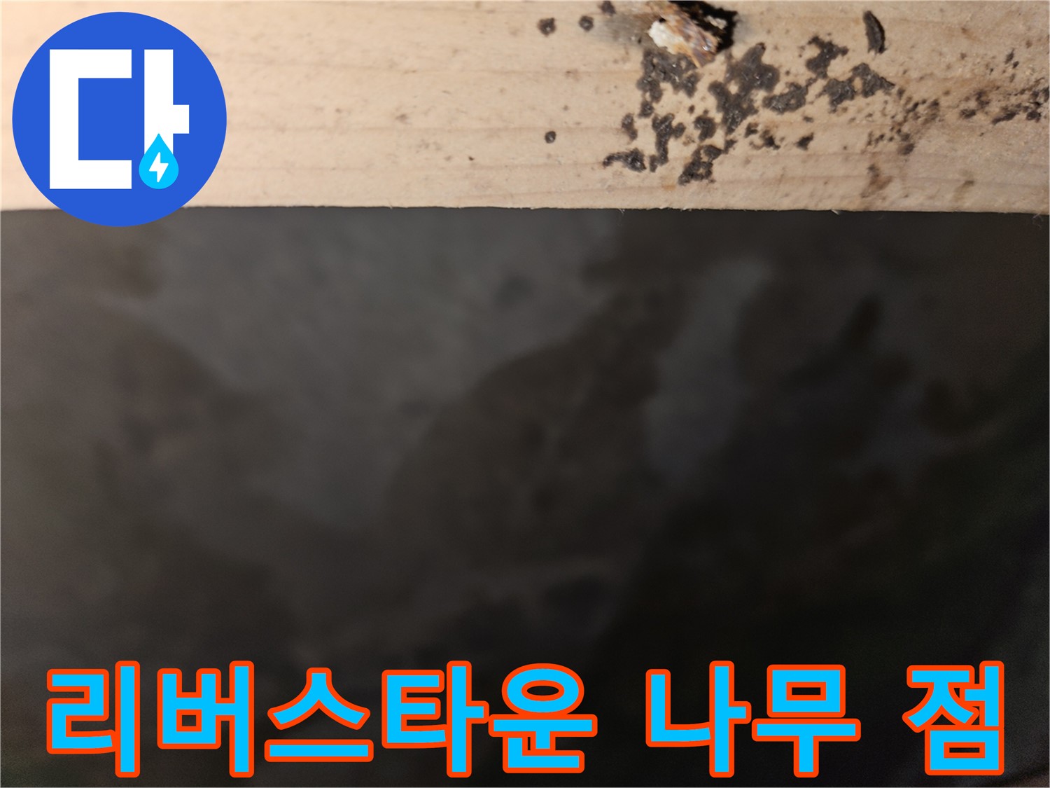 천호동 리버스타운 누수 - 나무 가장자리 점 - 초기