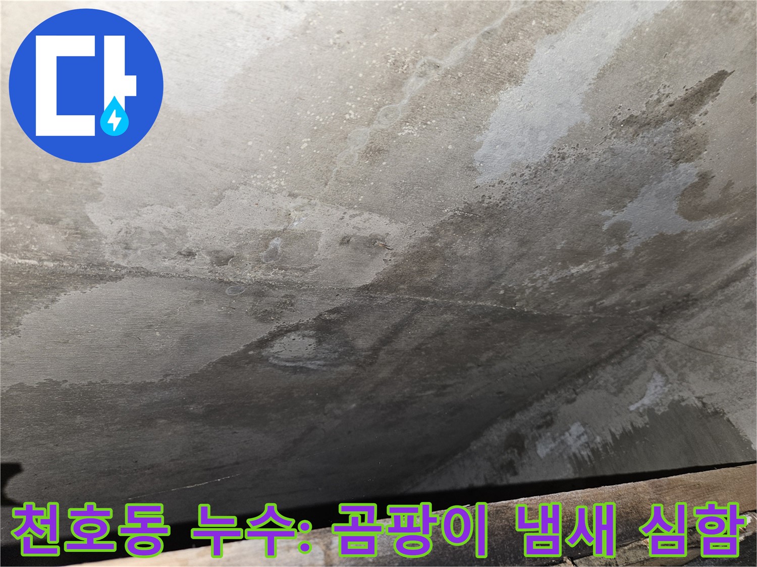 천호동 리버스타운 아파트 누수 - 심한 곰팡이 냄새는 심각한 누수