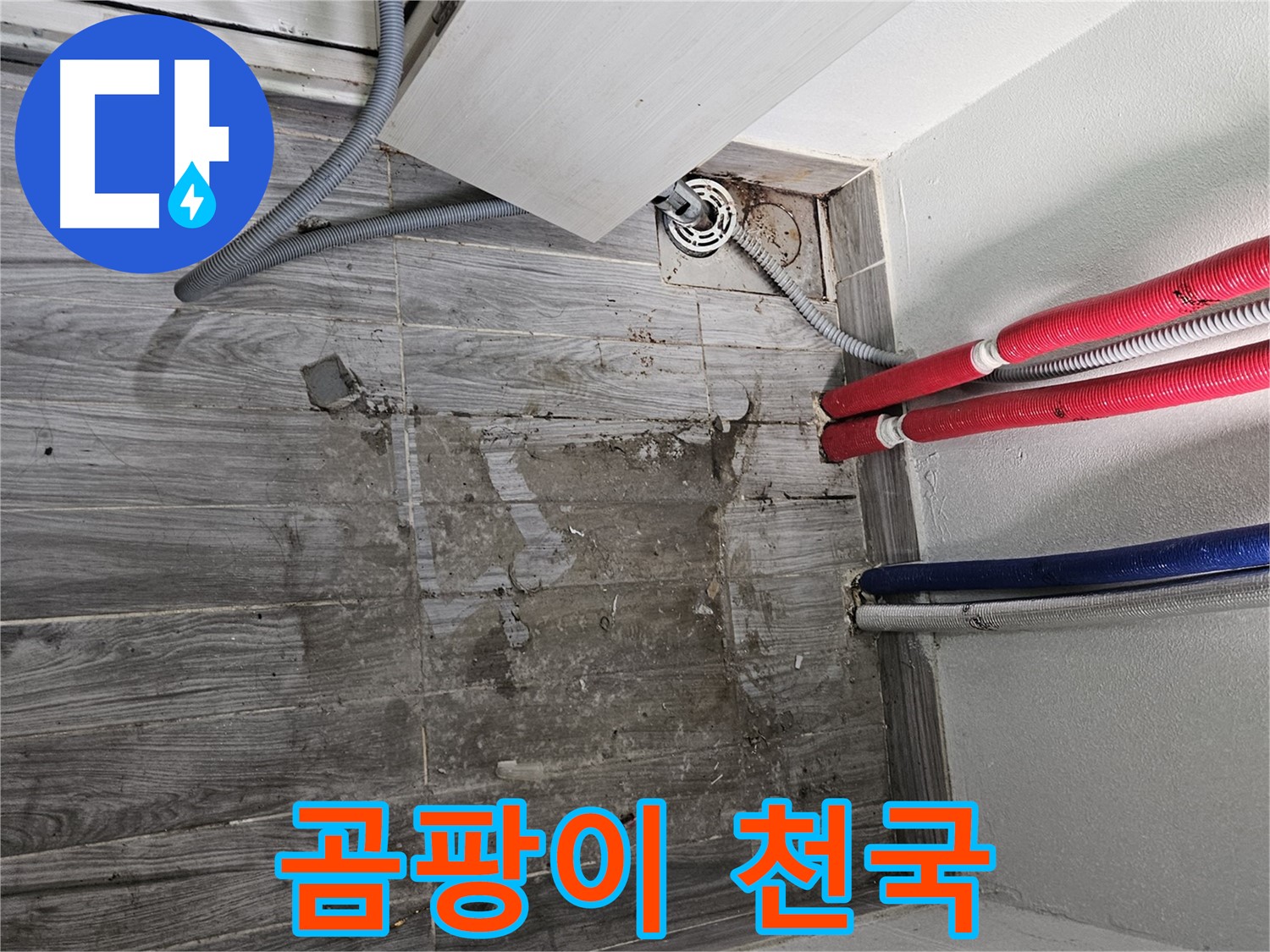 천호동 세탁실 누수 - 곰팡이 천국 될라