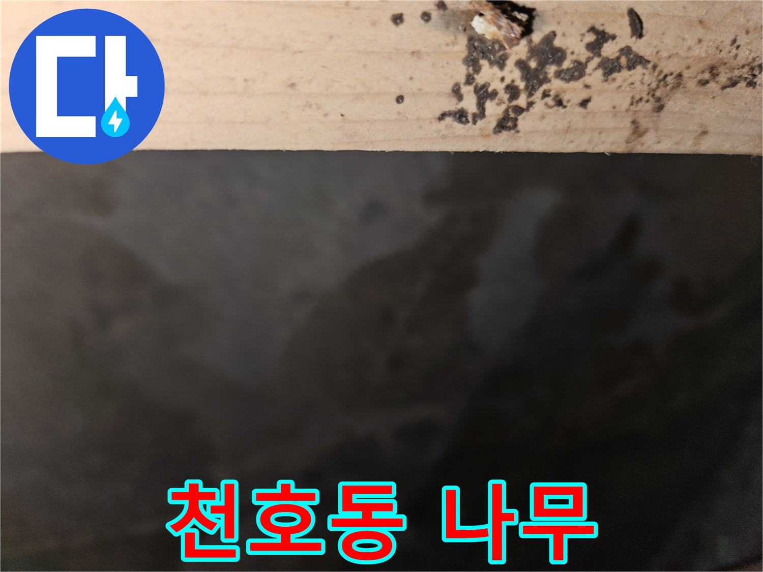 천호동 아파트 누수 - 나무 속 곰팡이 - 조기