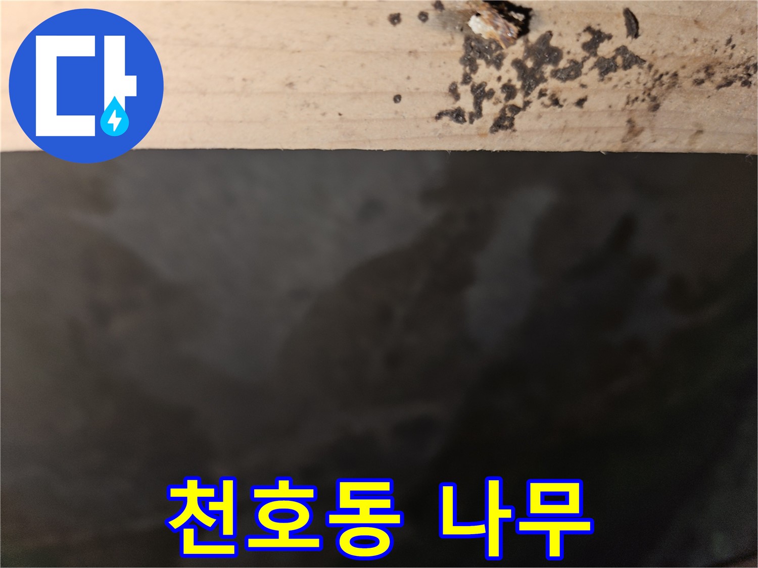 천호동 아파트 누수 - 나무 윗부분 변색 차단 - 최고의 결과